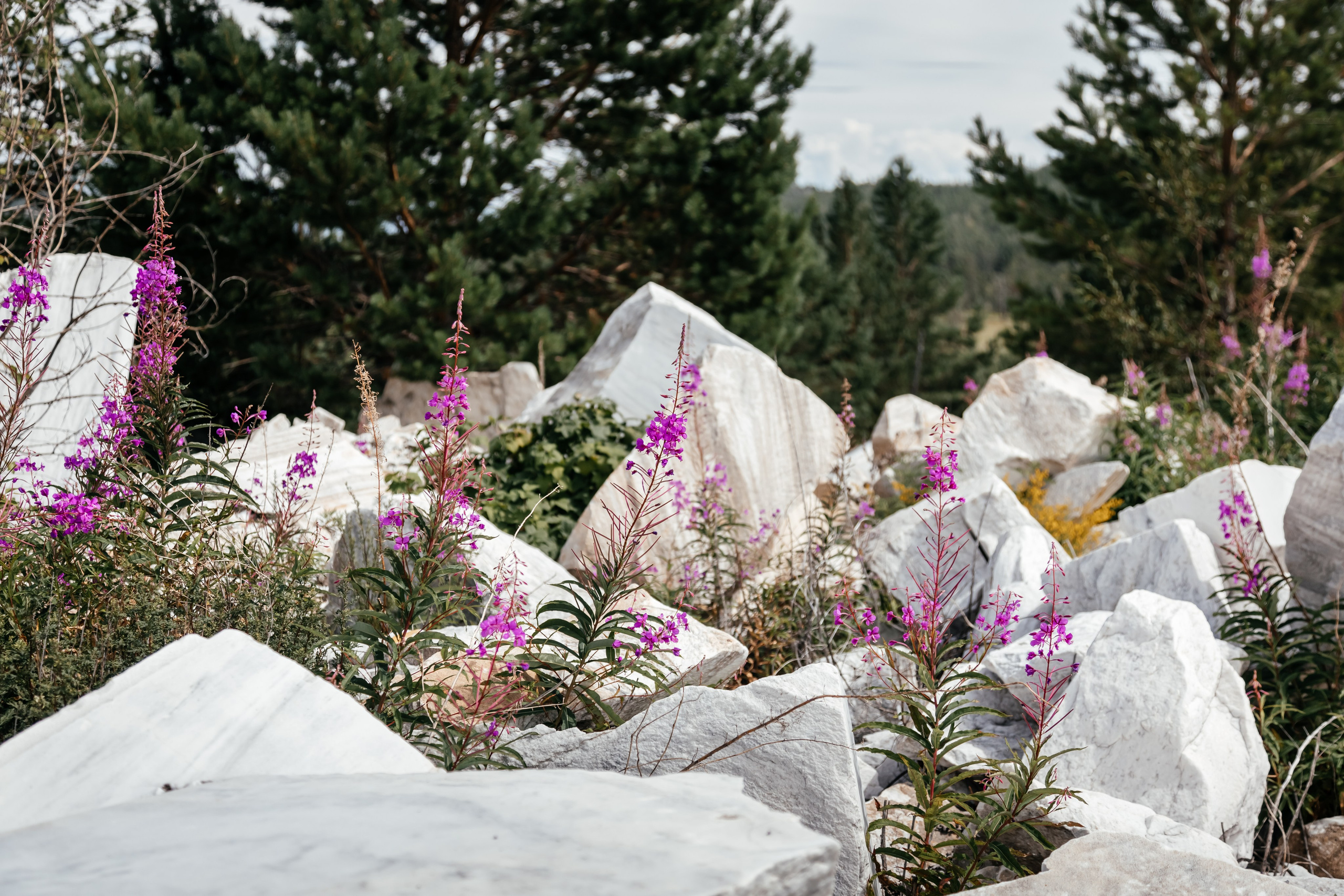 Байкал. Фотограф в Красноярске Оксана Корчагина