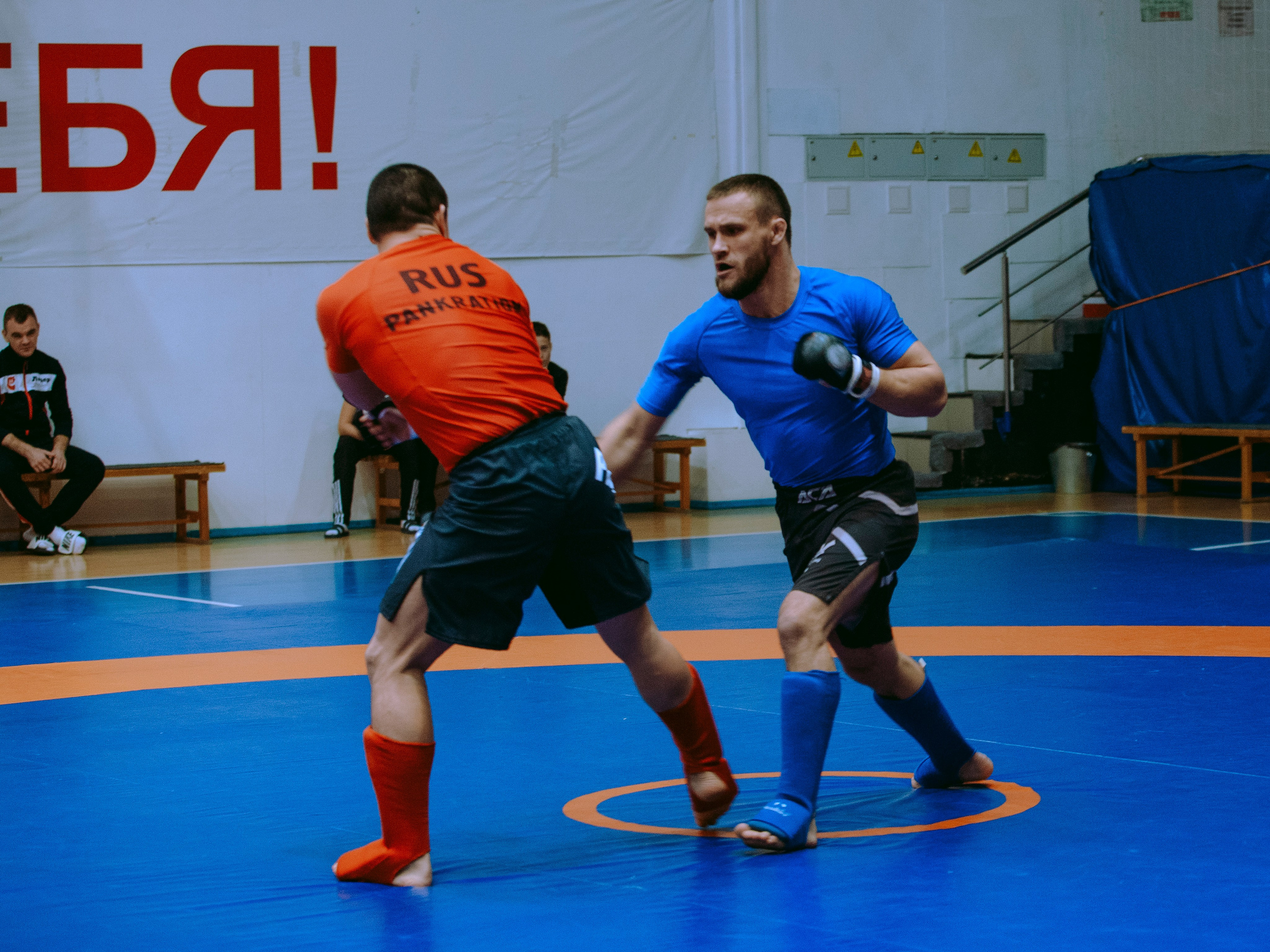ПАНКРАТИОН | Чемпионат и первенство СФО | март `24. Портретный фотограф в Москве Дарья Цезария