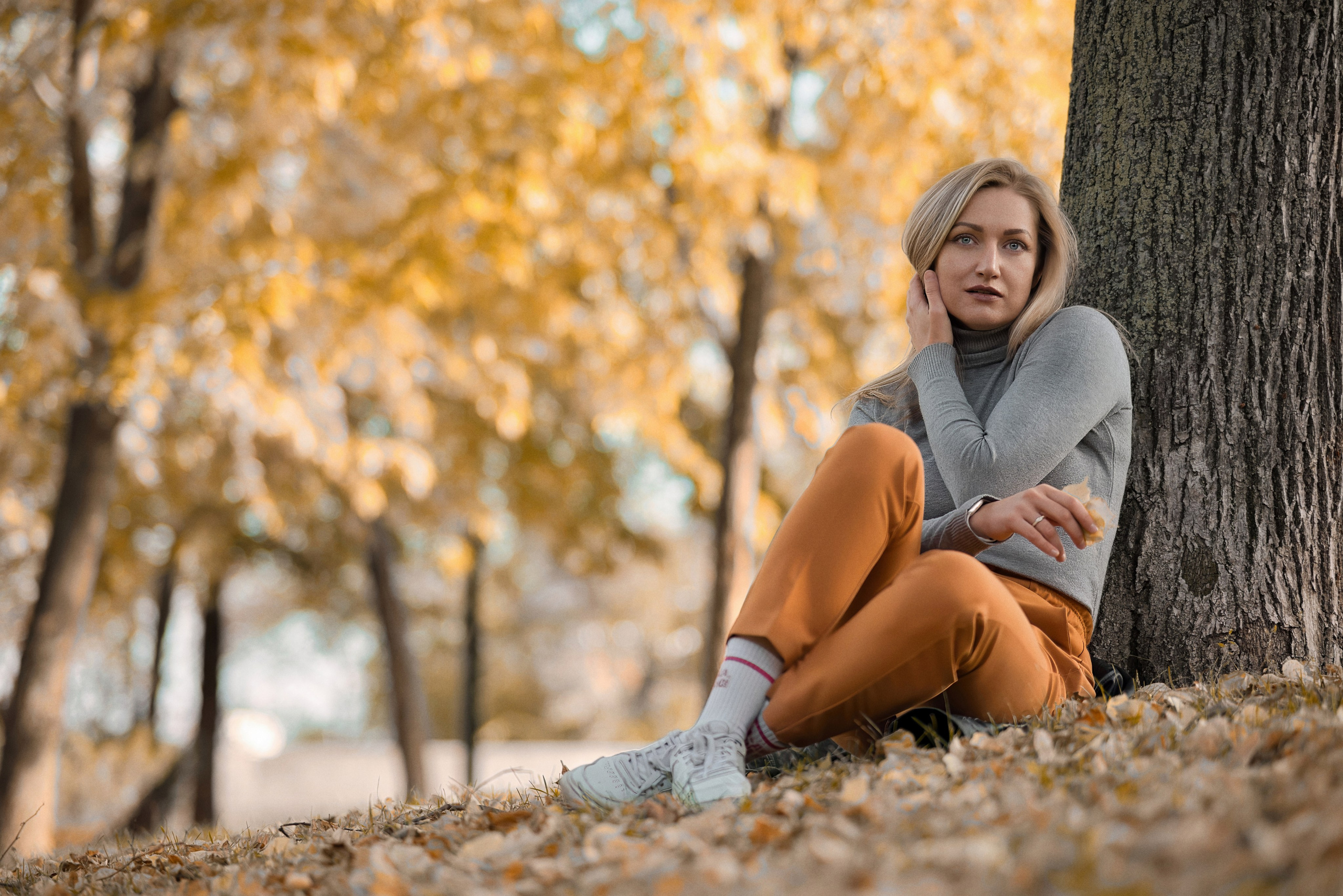 Осень цвета горчицы. Фотограф Денис Кривопусков