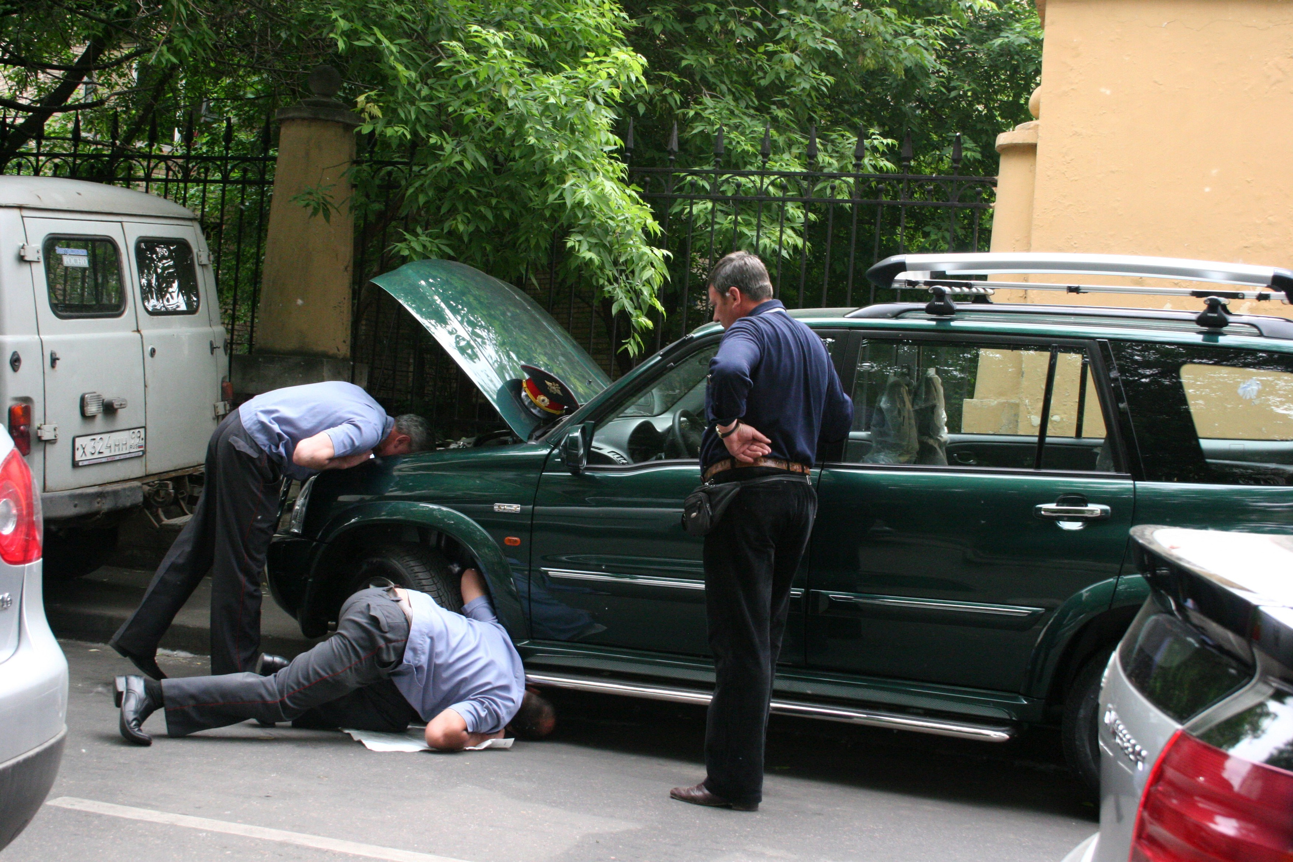 Жанр. Фотограф Лагутин Анатолий