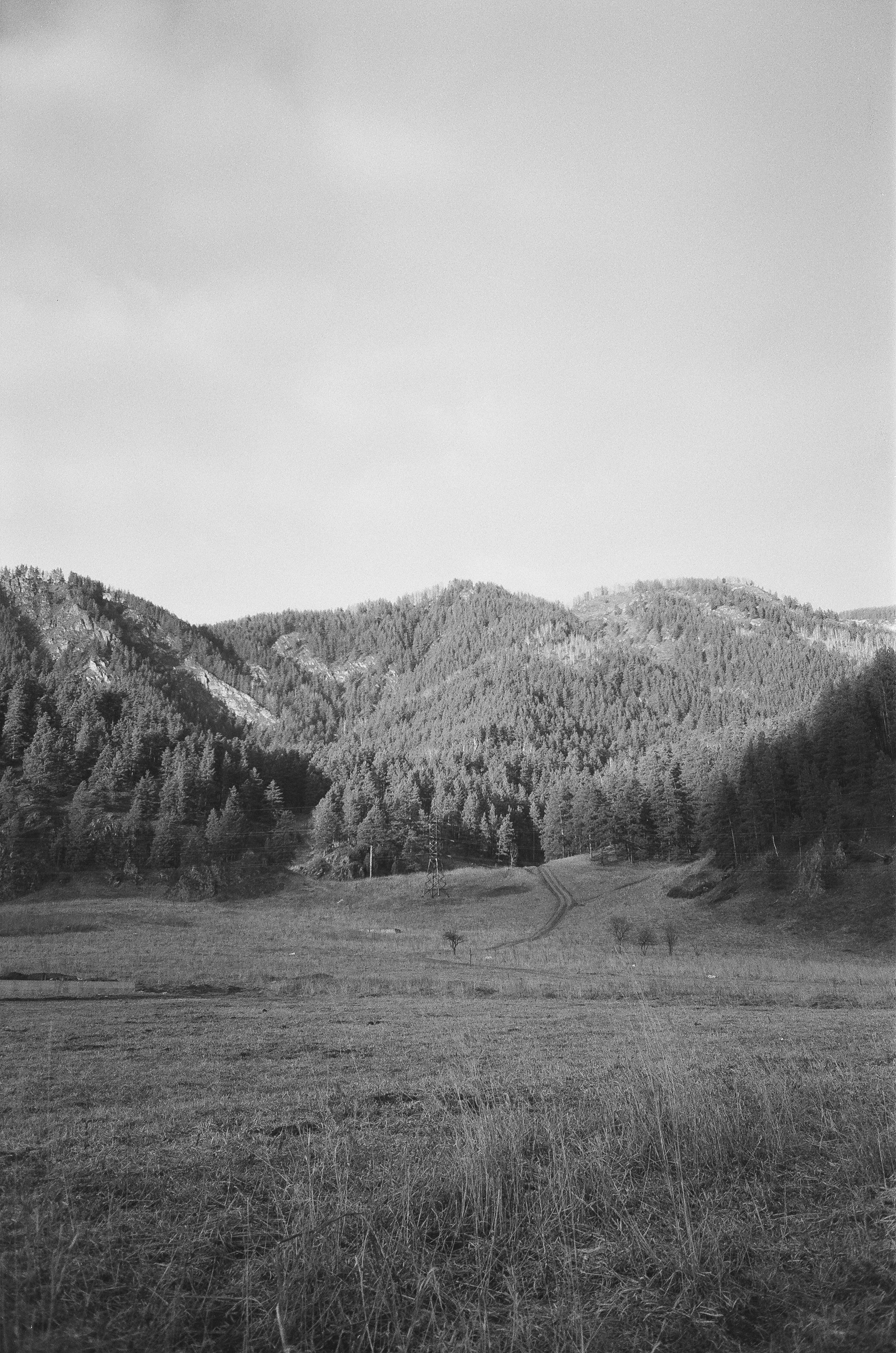 Деревня Берендеевка и кафе Лампа в верхах Алтая. Горы и поля Чемала. Фотограф-документалист Мария Осокина