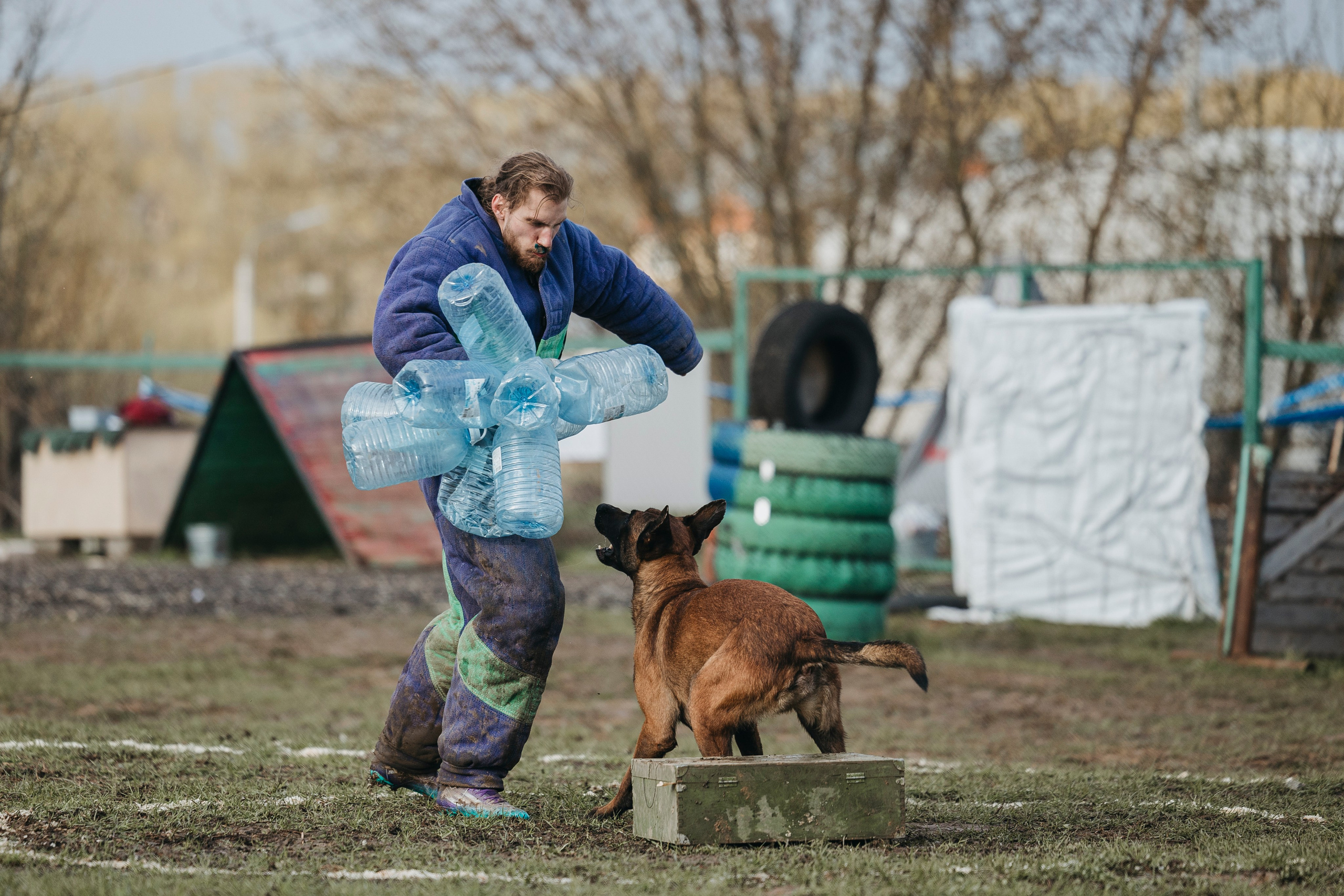 09.05.25 Вологда соревнования. Фотограф-анималист Анна Маринич