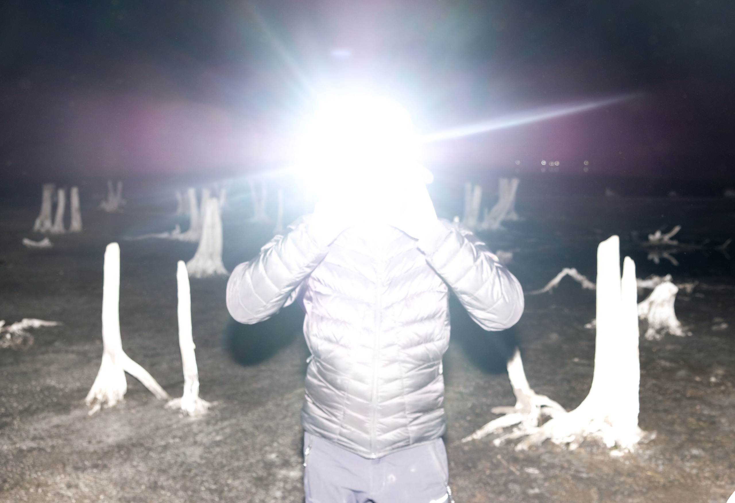 Портреты. Alexey syrov / Visual artist