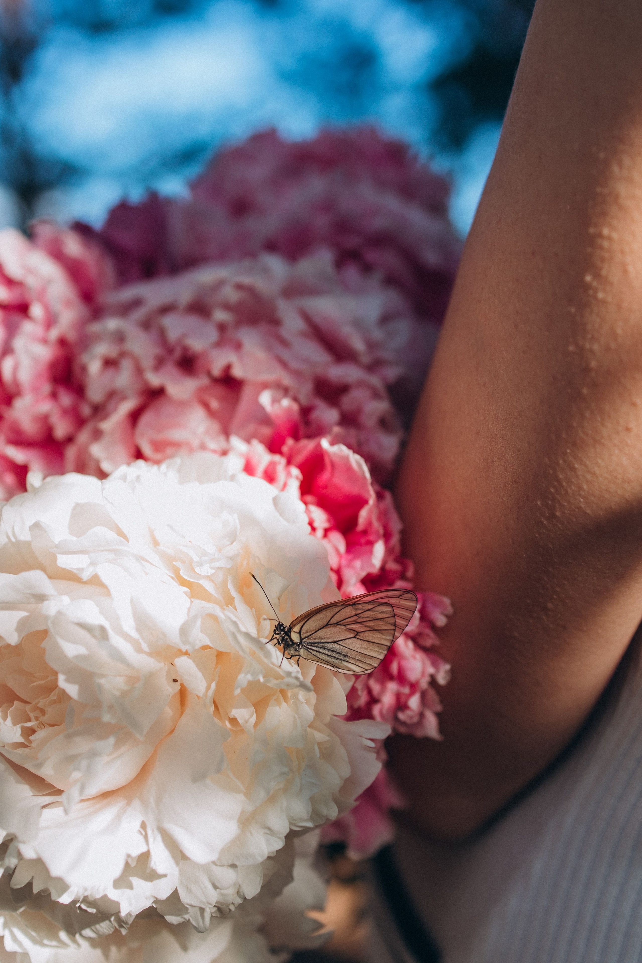 Семья Атамась. Семейный фотограф Нижневартовск Тюмень Ефимова Ирина