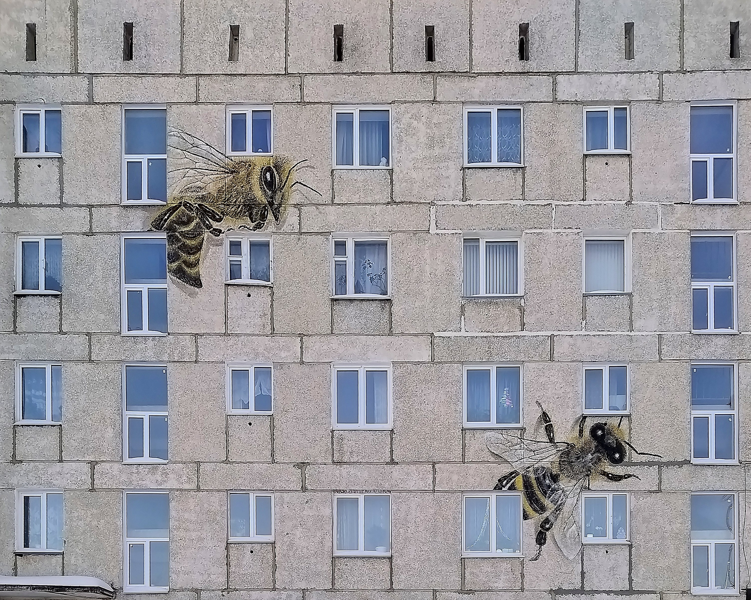 Улей