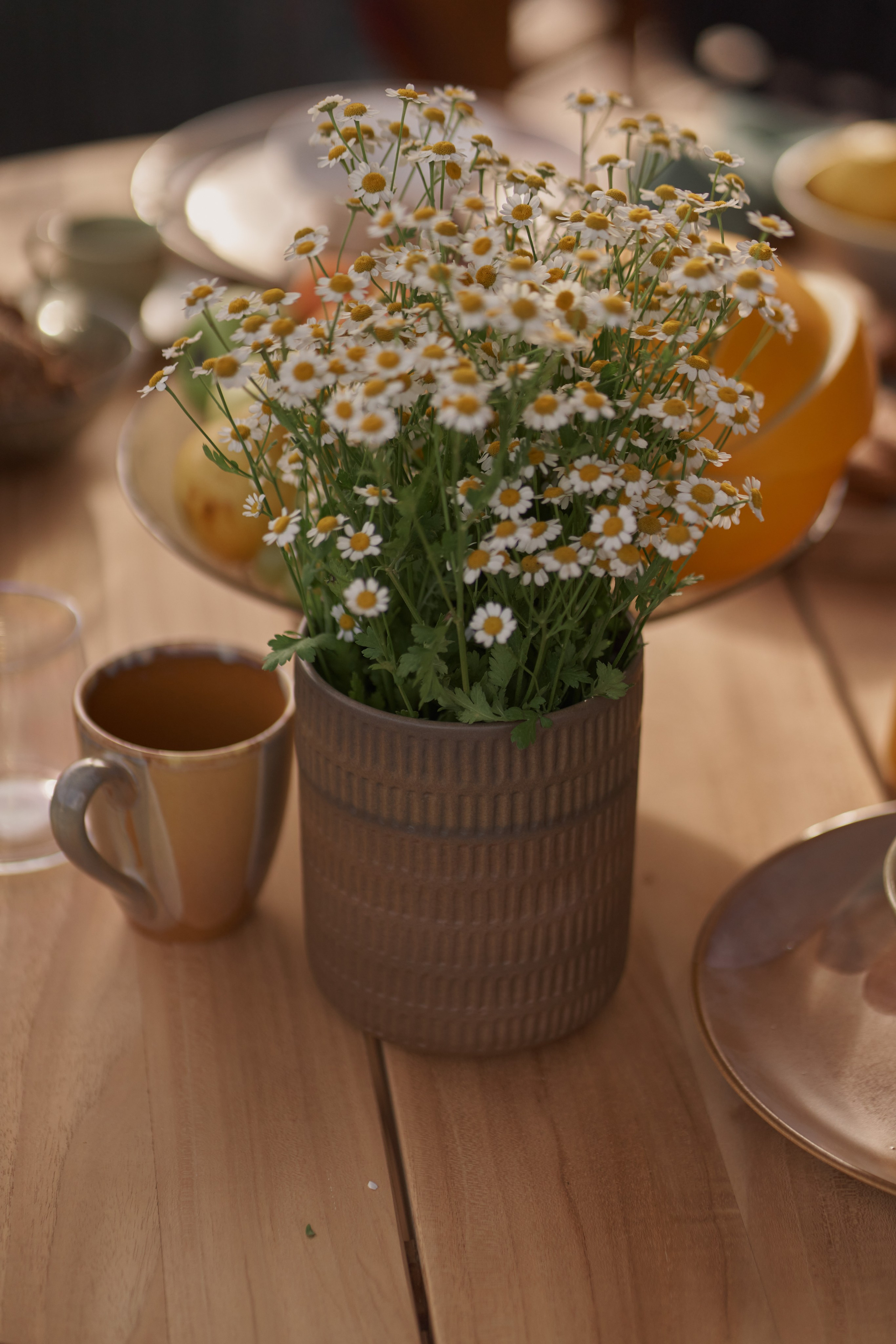 CHAKRA. Главная