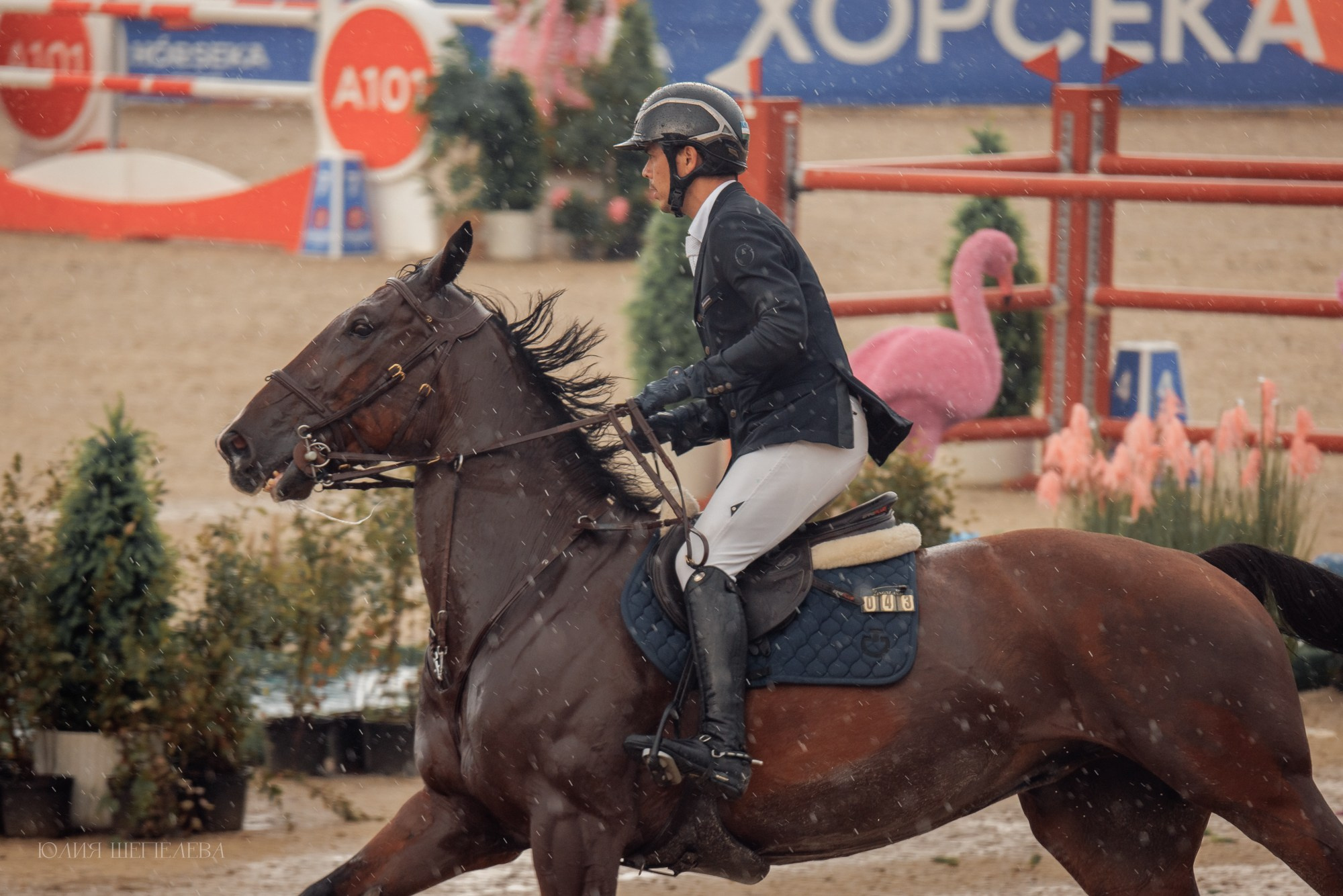 Дерби. Horseka 2024. Детская Конная фотография в Москве Юлия Шепелева