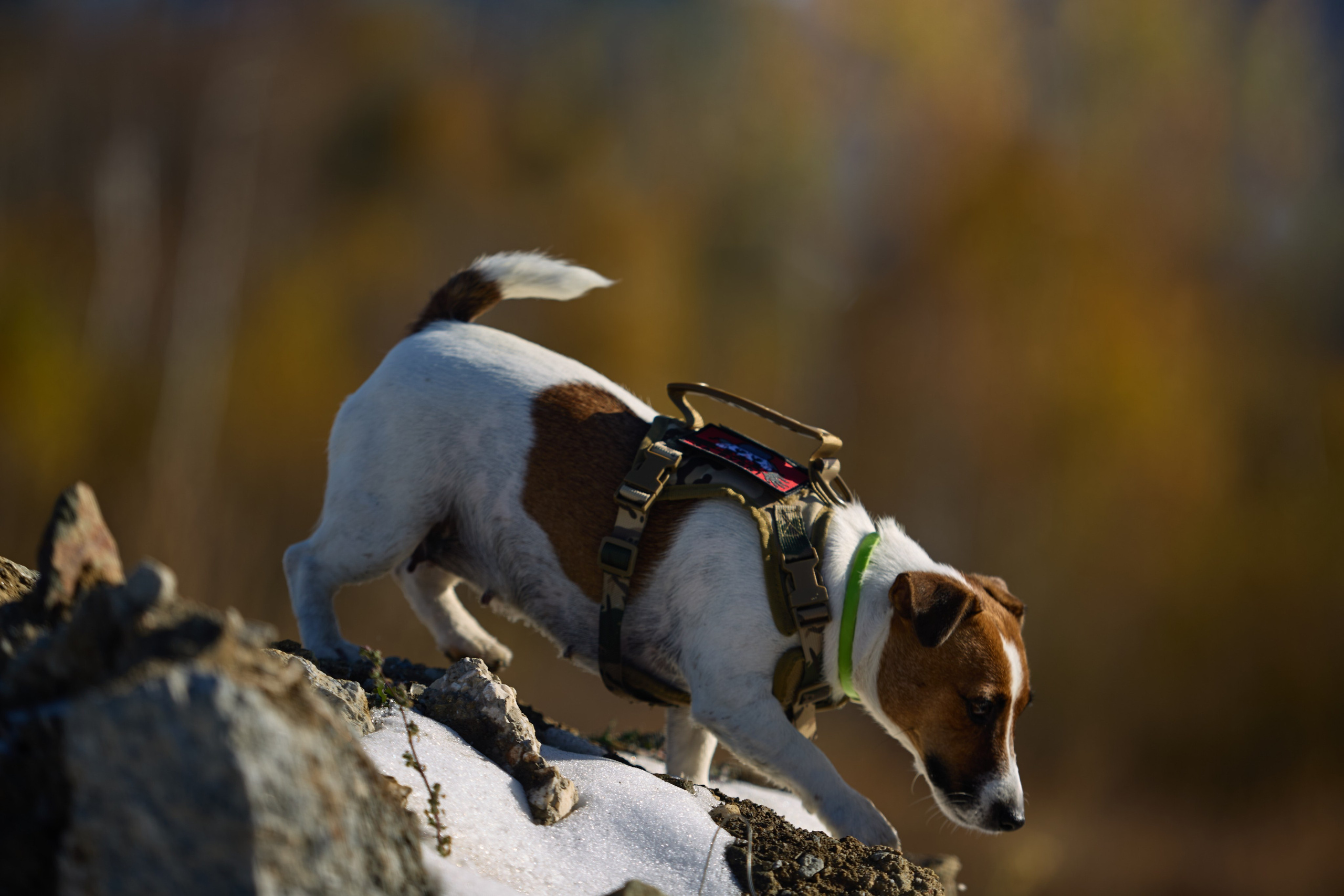 Лети Спасатель. Buyvolenko Andrey