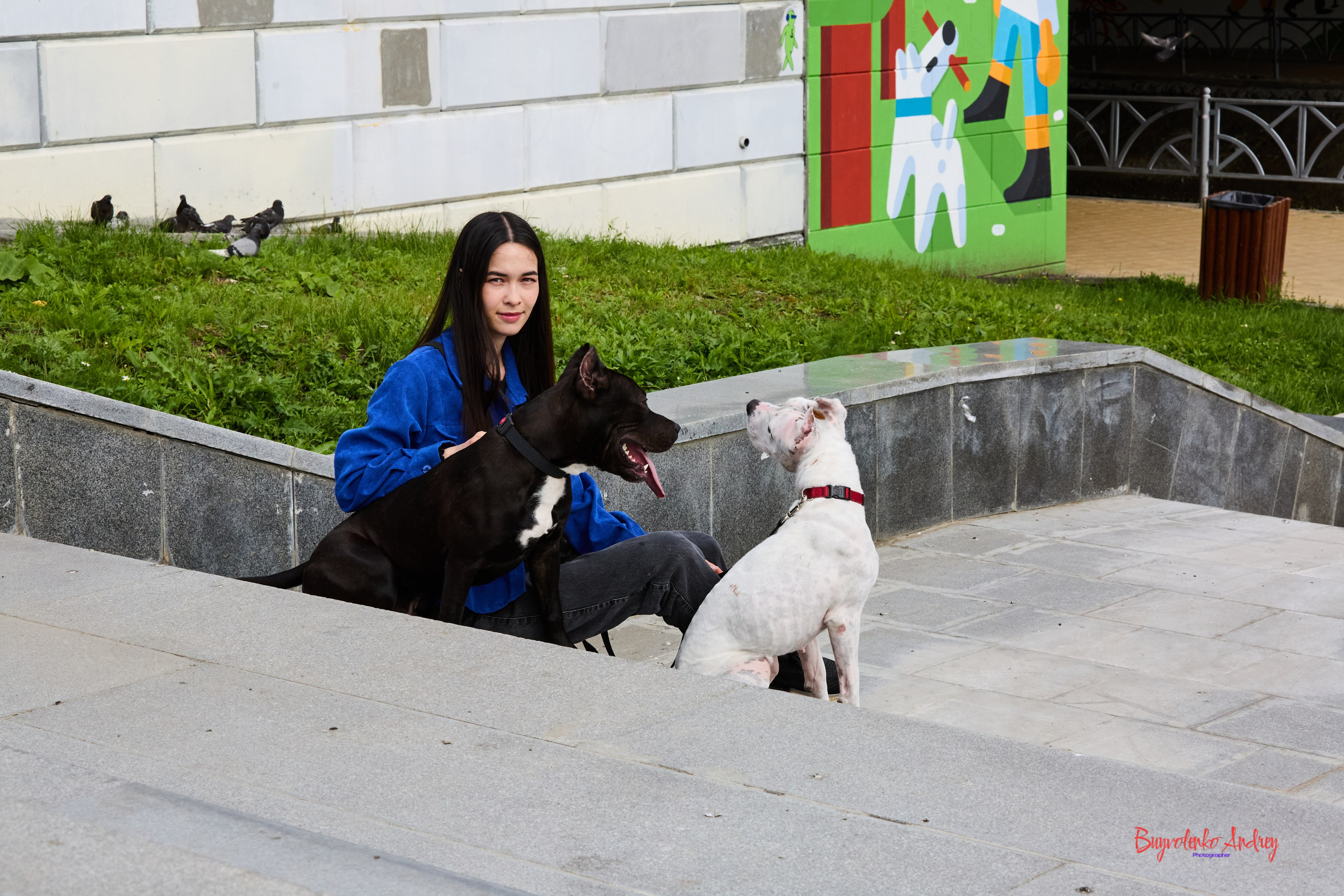 Проект фотопрогулка с хвостиком. Buyvolenko Andrey