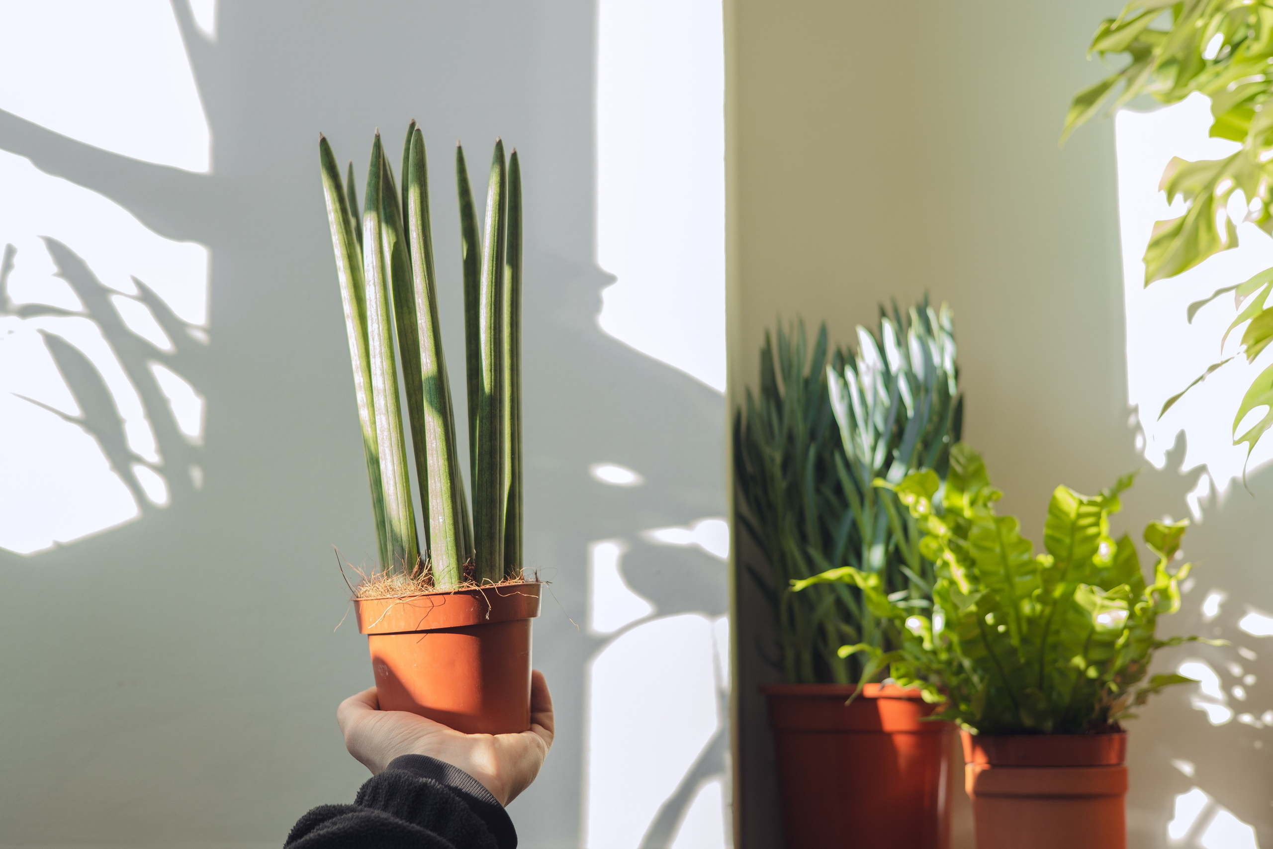 Предметная съемка для бизнеса. Фотограф в Санкт-Петербурге Осокина Елизавета