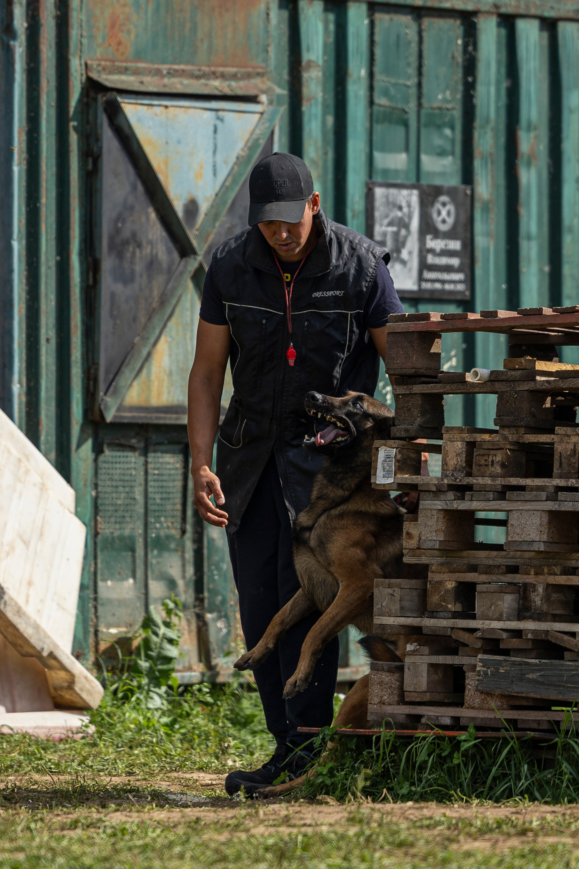 Соревнования по Мондьорингу г. Вологда 10-11.08.2024. Фотограф-анималист Анна Маринич