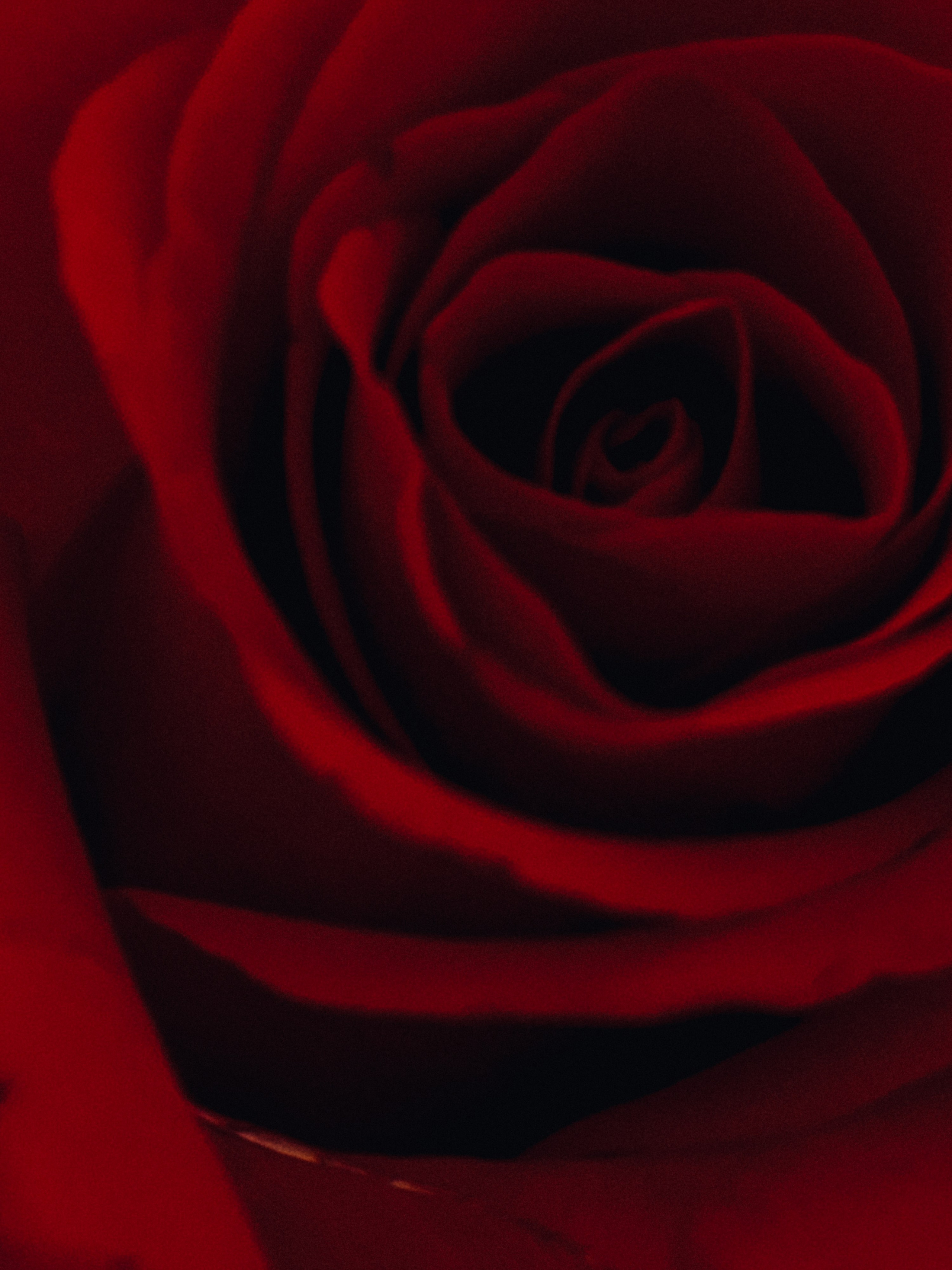 Wedding day Семен & Анастасия. Свадебный фотограф Колесников Антон