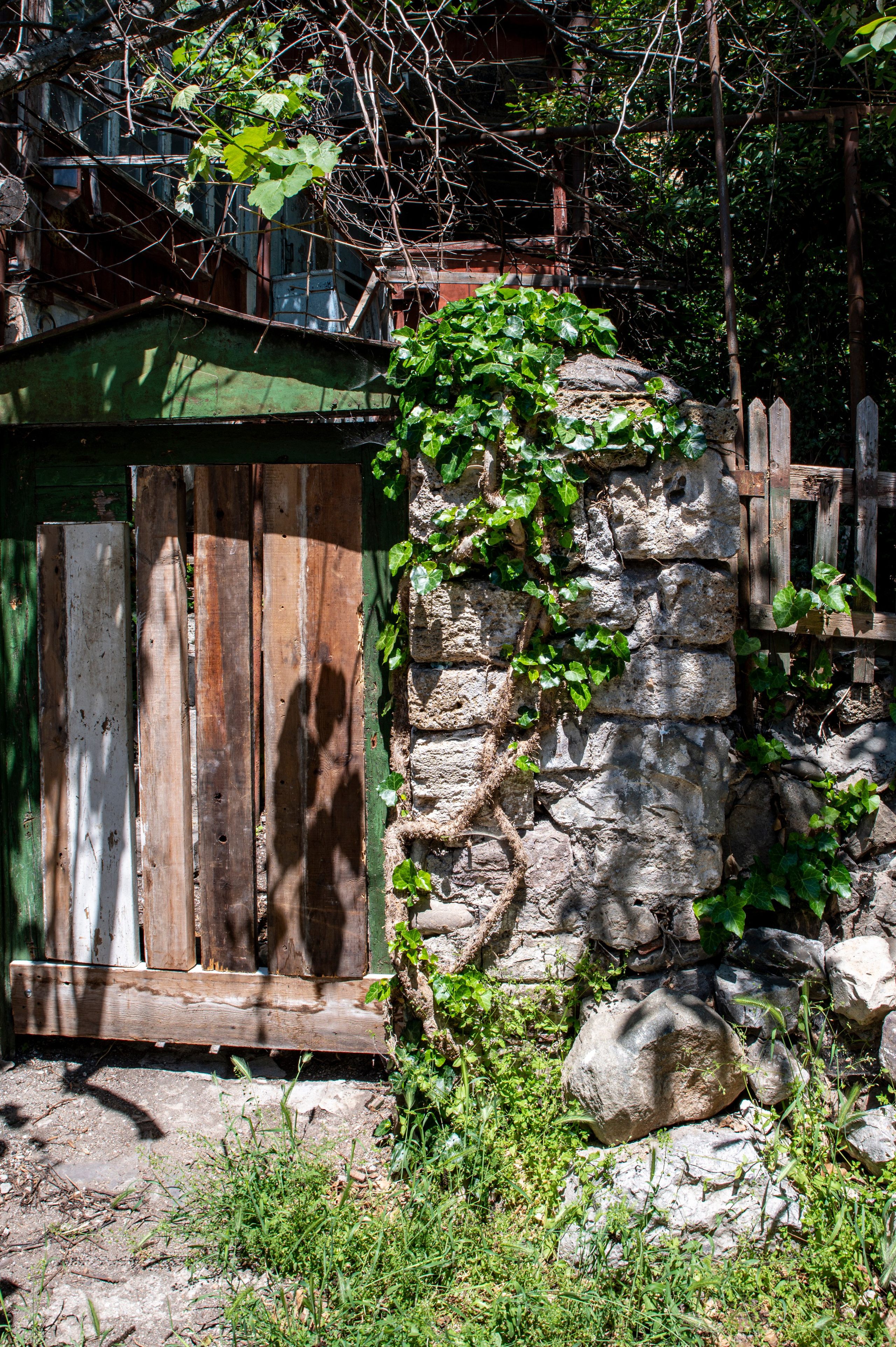 Крым май 2022. Фотограф Роман Адлер