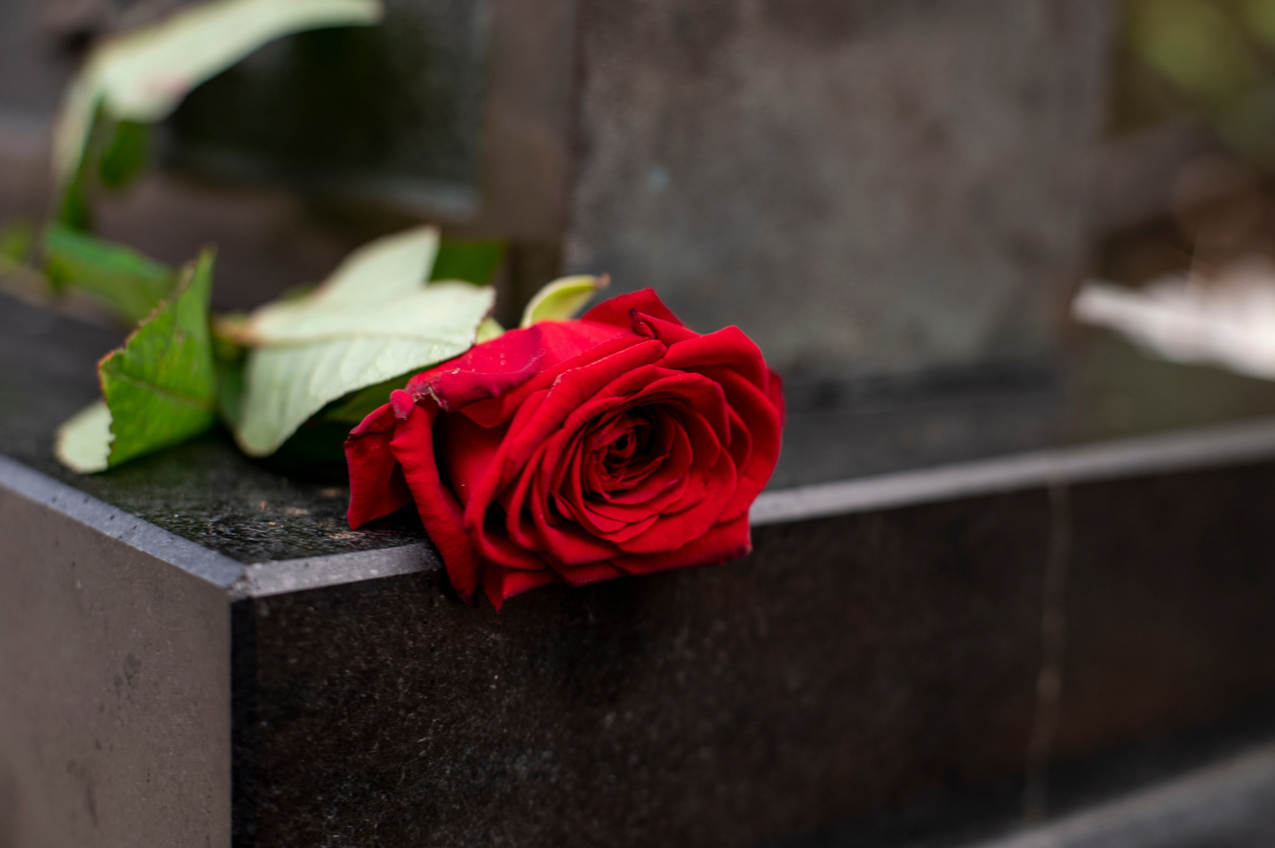 Ваганьковское кладбище. Фотограф Роман Адлер