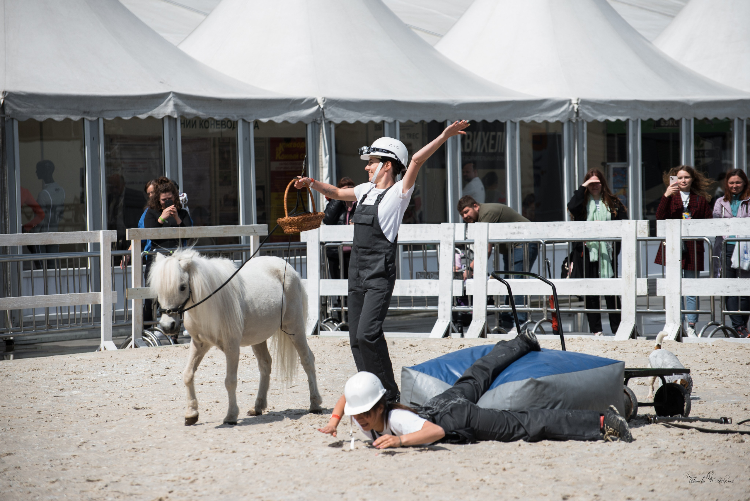 Эквирос, Москва. Конный фотограф в Саратове Юлия Иванова