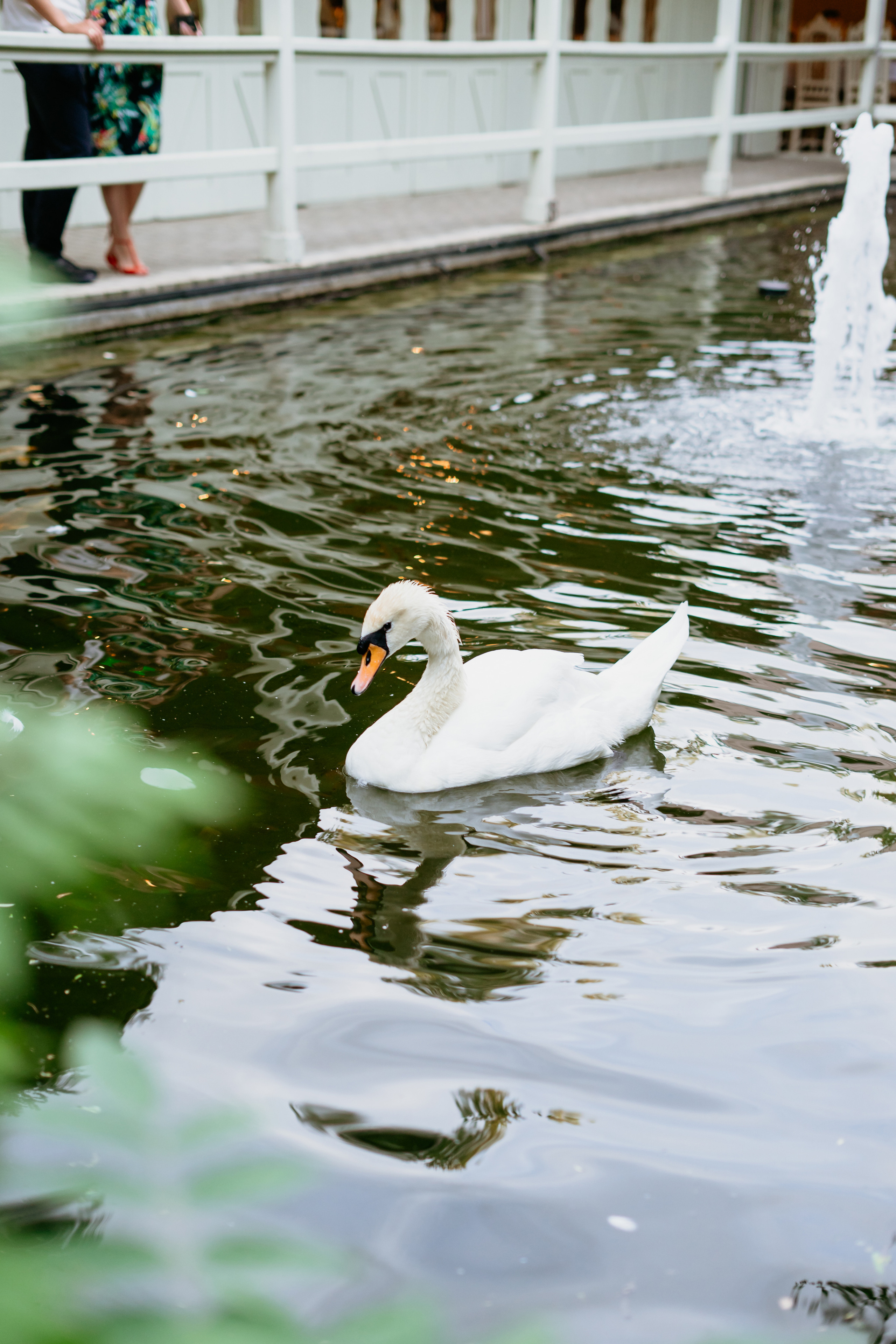 Настя ДР / Атаманская. Фотограф мероприятий в Ростове-на-Дону Есманская Елена