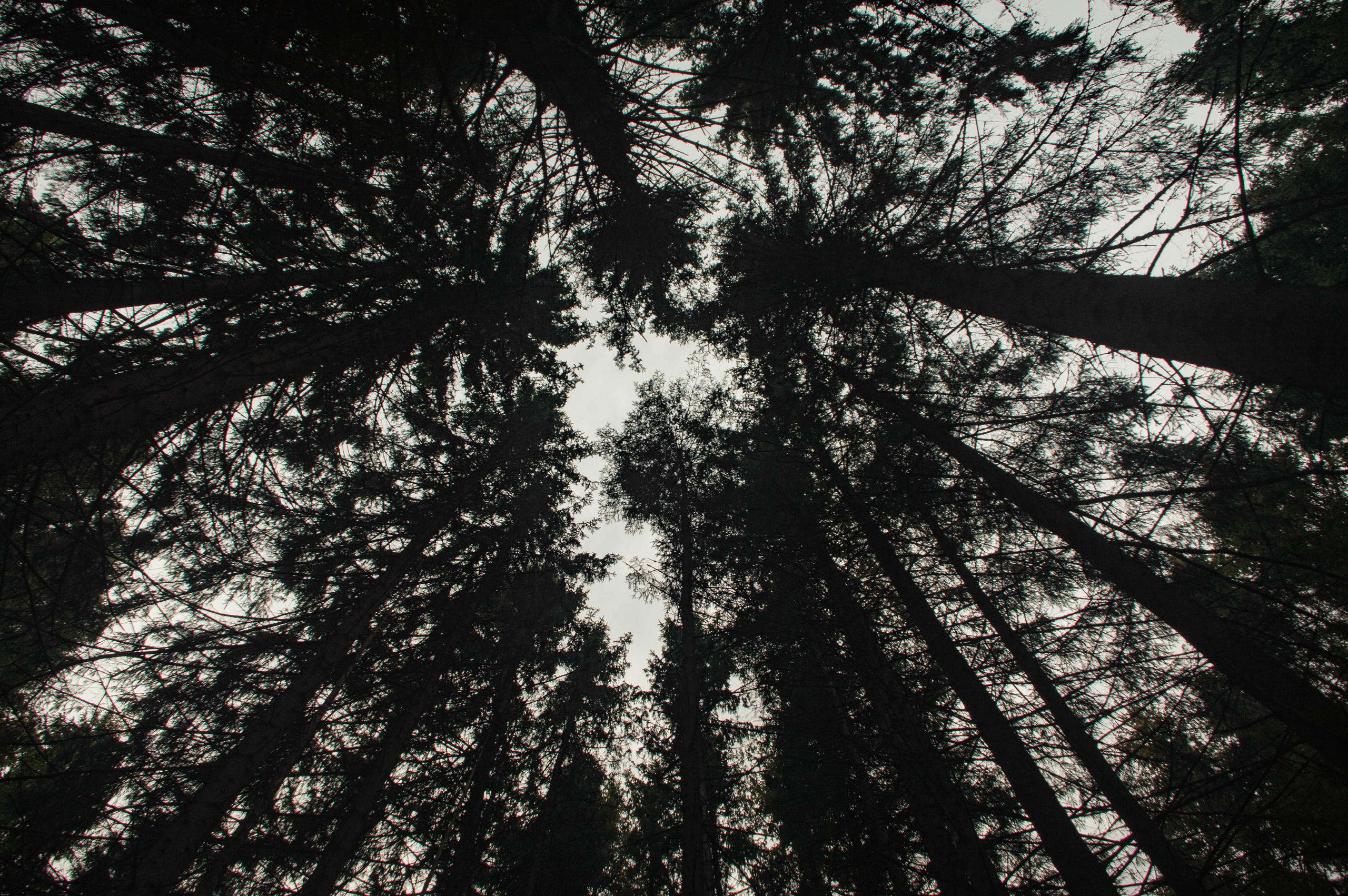 Портретный фотограф в Ростове Великом Татьяна Каменская