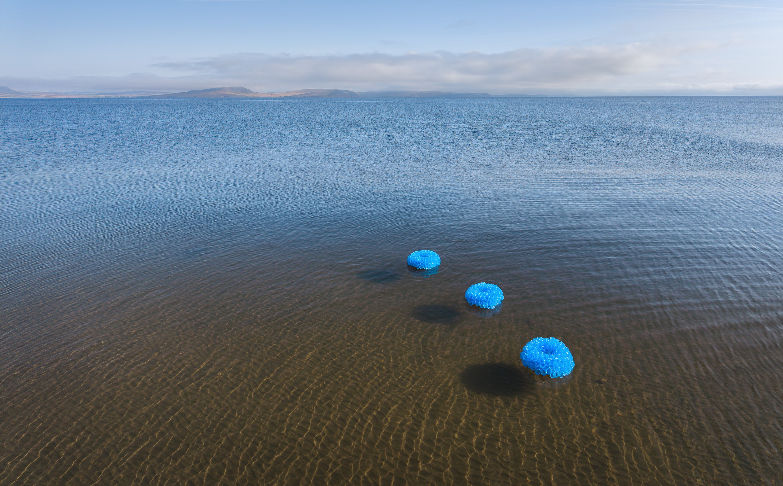 Александр Лещёнок и Марина Огнева | междисциплинарные художники