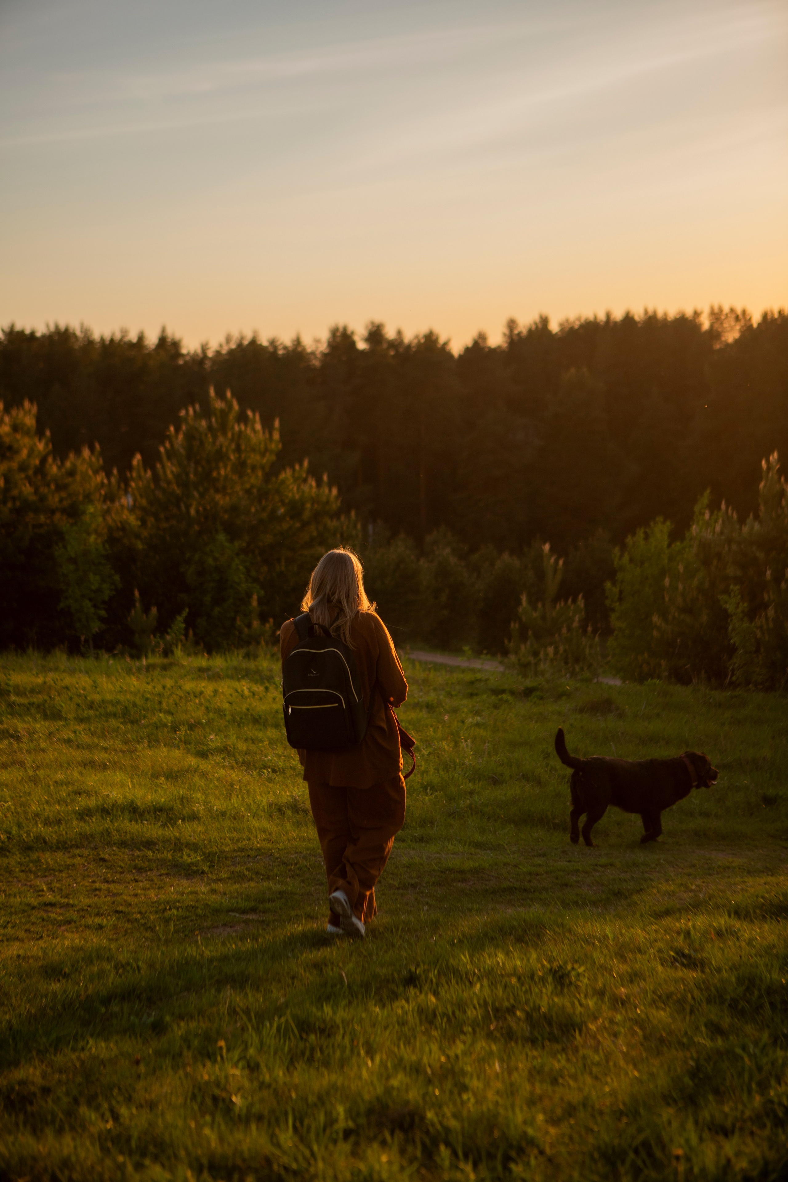 Закатная. Фотограф-анималист в Санкт-Петербурге Алина Яхонт