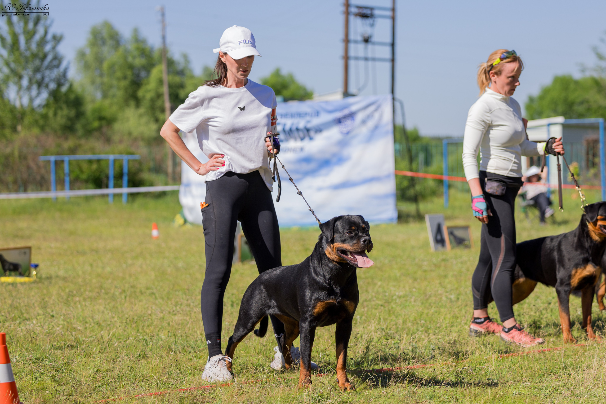 Воронеж моно ротвейлеров 25-26.05.2024. Фотограф-анималист Юлия Германика