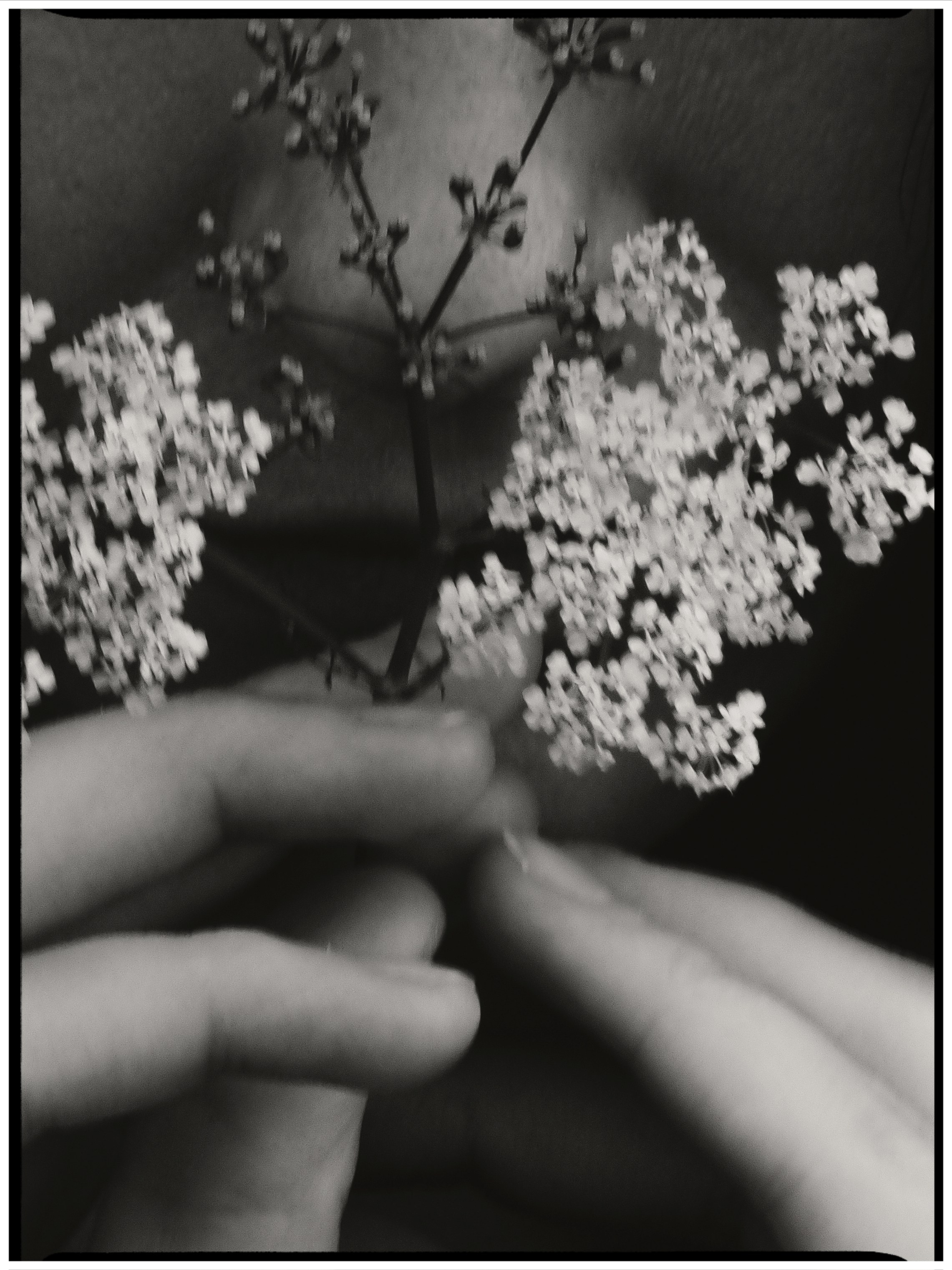 Женщины. Фотограф из Санкт-Петербурга/Катерина Зайцева