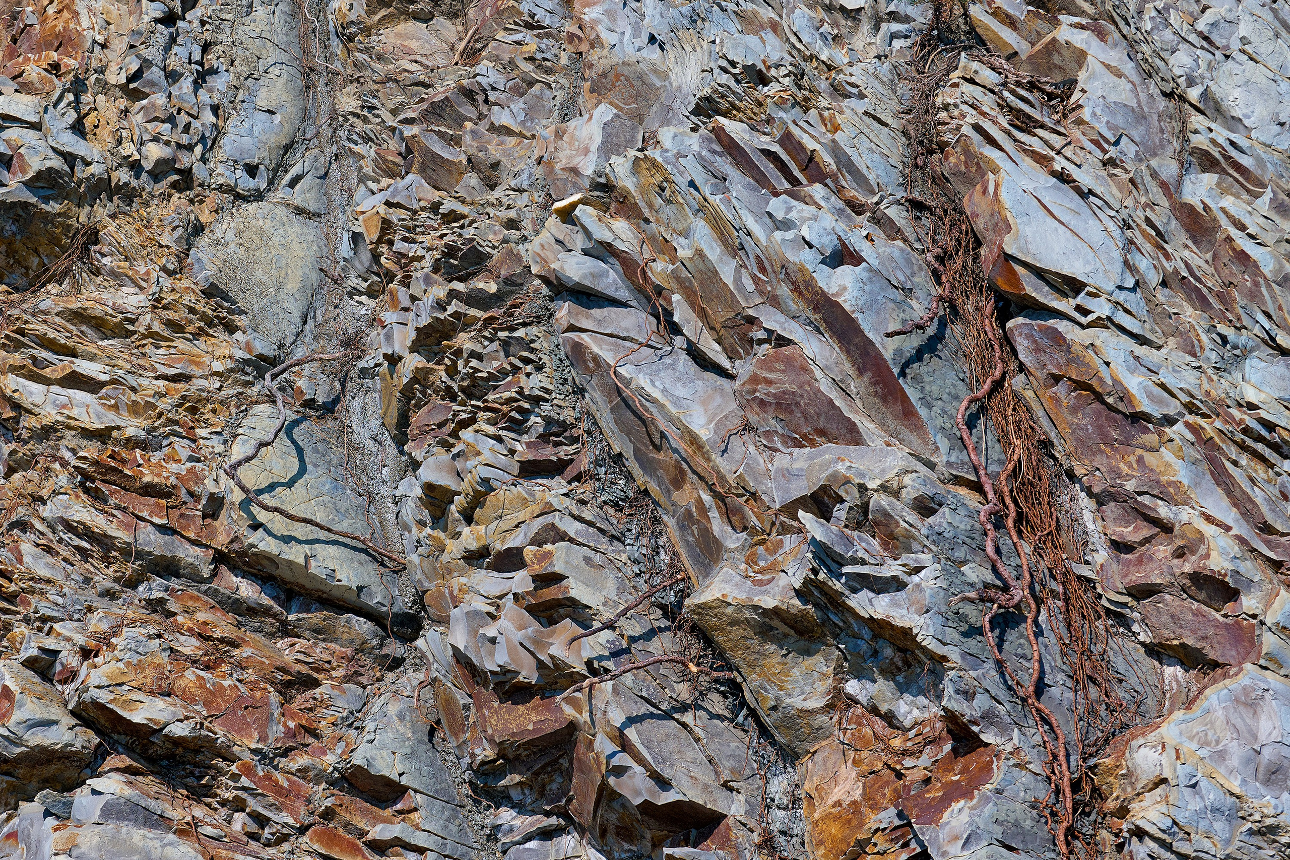 Геленджикский район, Краснодарский край, Кавказ, Черное море, скалы, горы, сосны, пляж