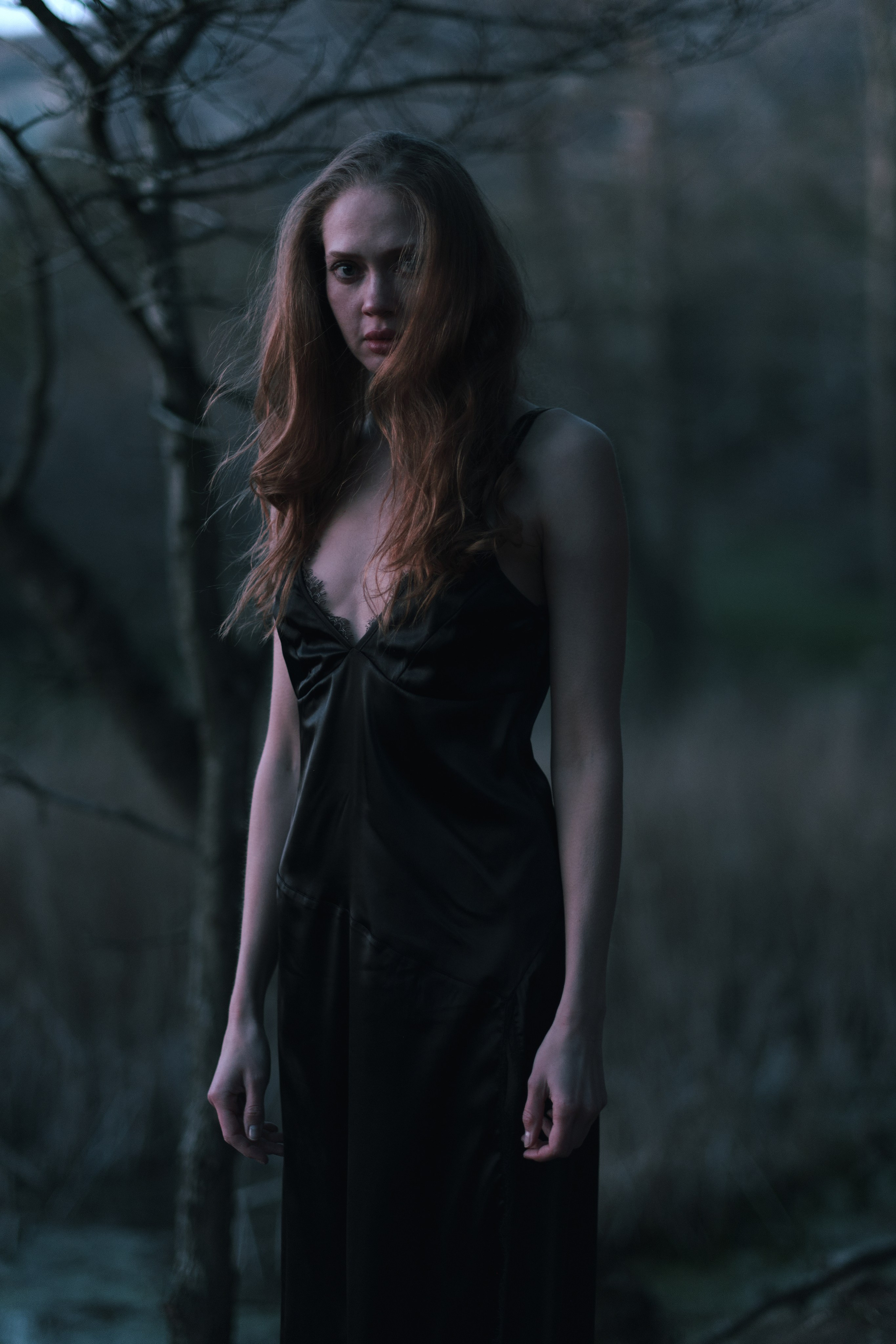 Moonlight. Gerasko Aleks — Портрет, кричащий тишиной