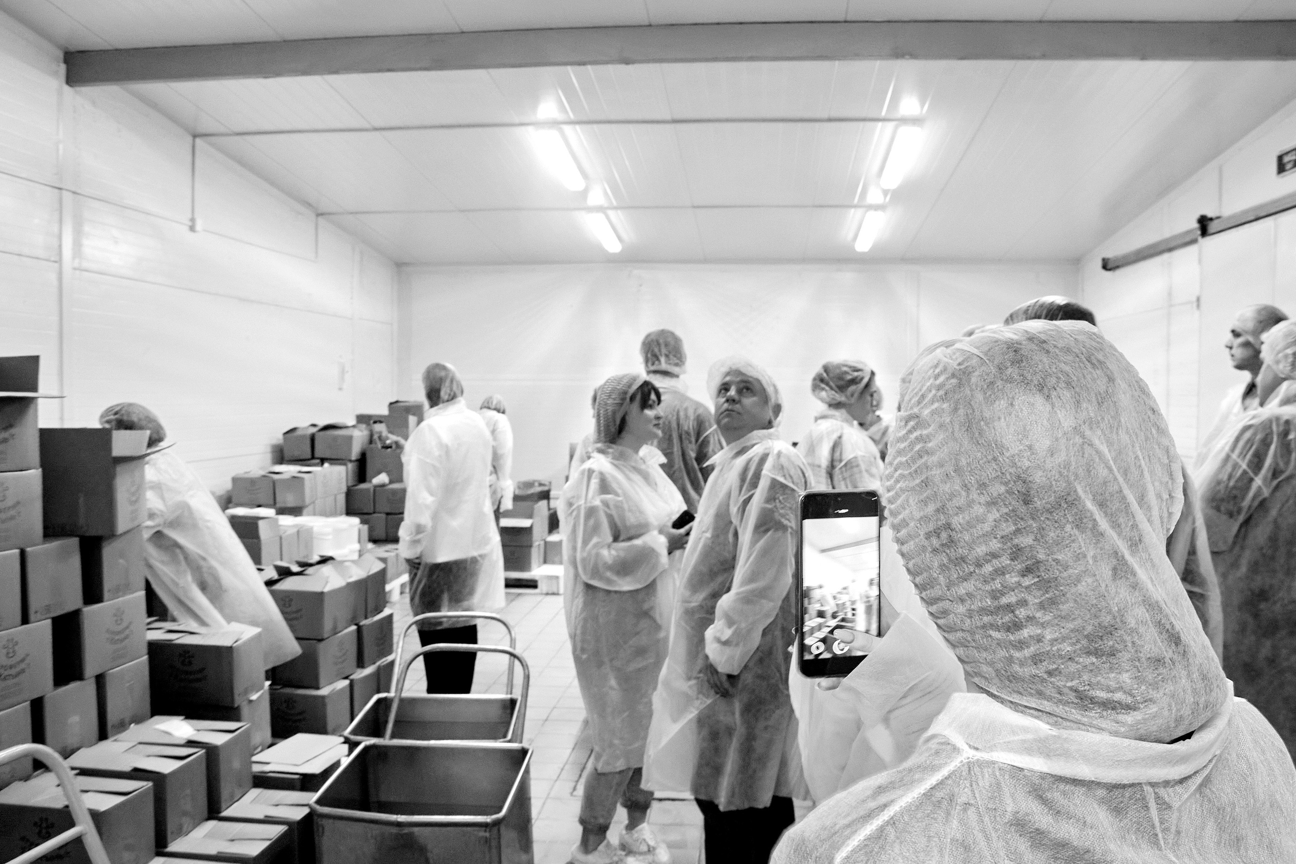 Экскурсия «Агроферма-Катынь». Фотограф в Смоленске Ася Польшина