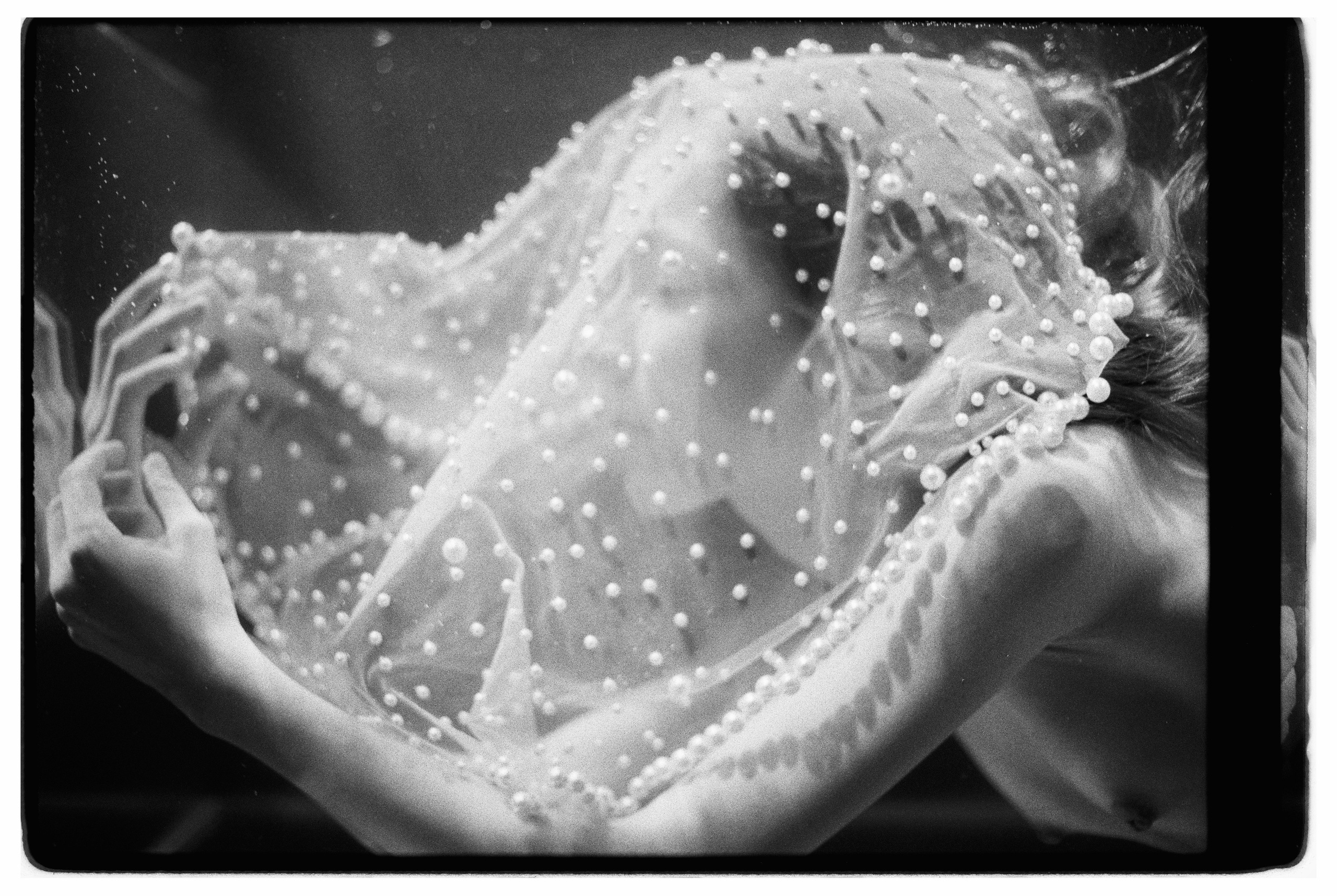 Swimming Beauty. Фотограф Александр Медведев