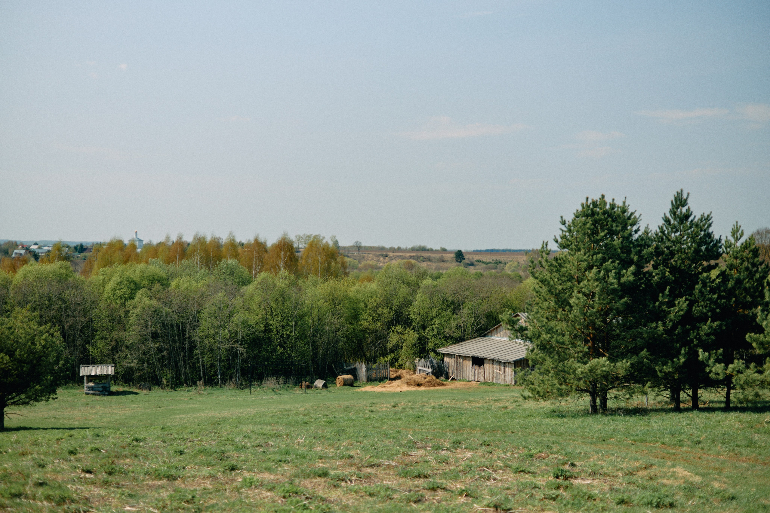 Бутик-отель Поле летом. Профессиональный Фотограф во Владимире, в Москве и в Суздале — Полина Романычева