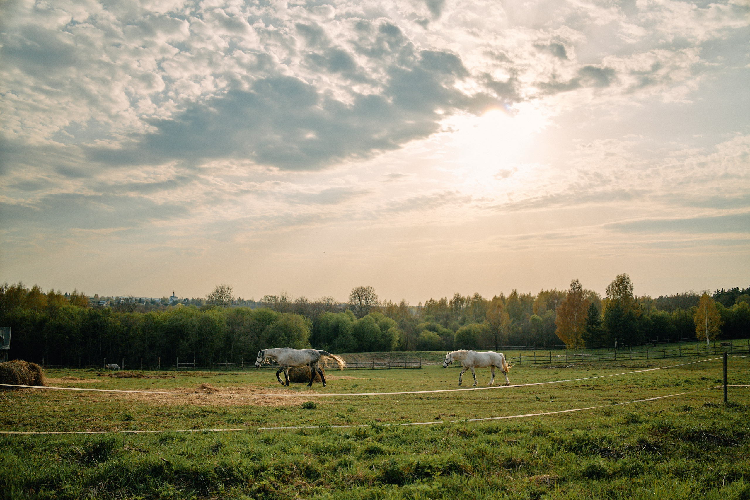 Бутик-отель Поле летом. Профессиональный Фотограф во Владимире, в Москве и в Суздале — Полина Романычева