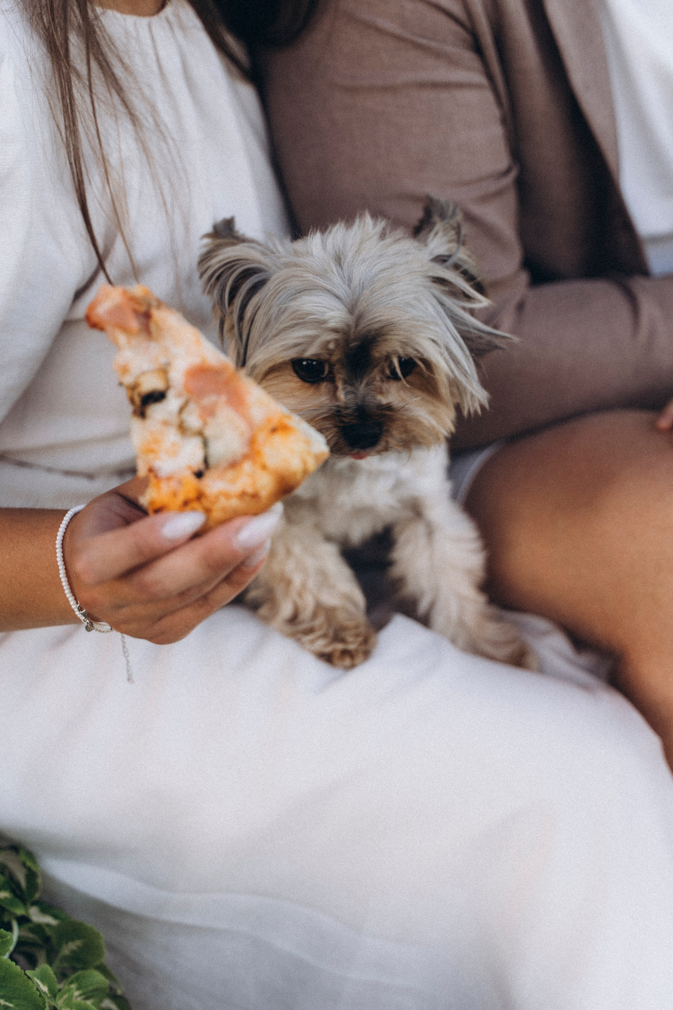 Аня и Андрей