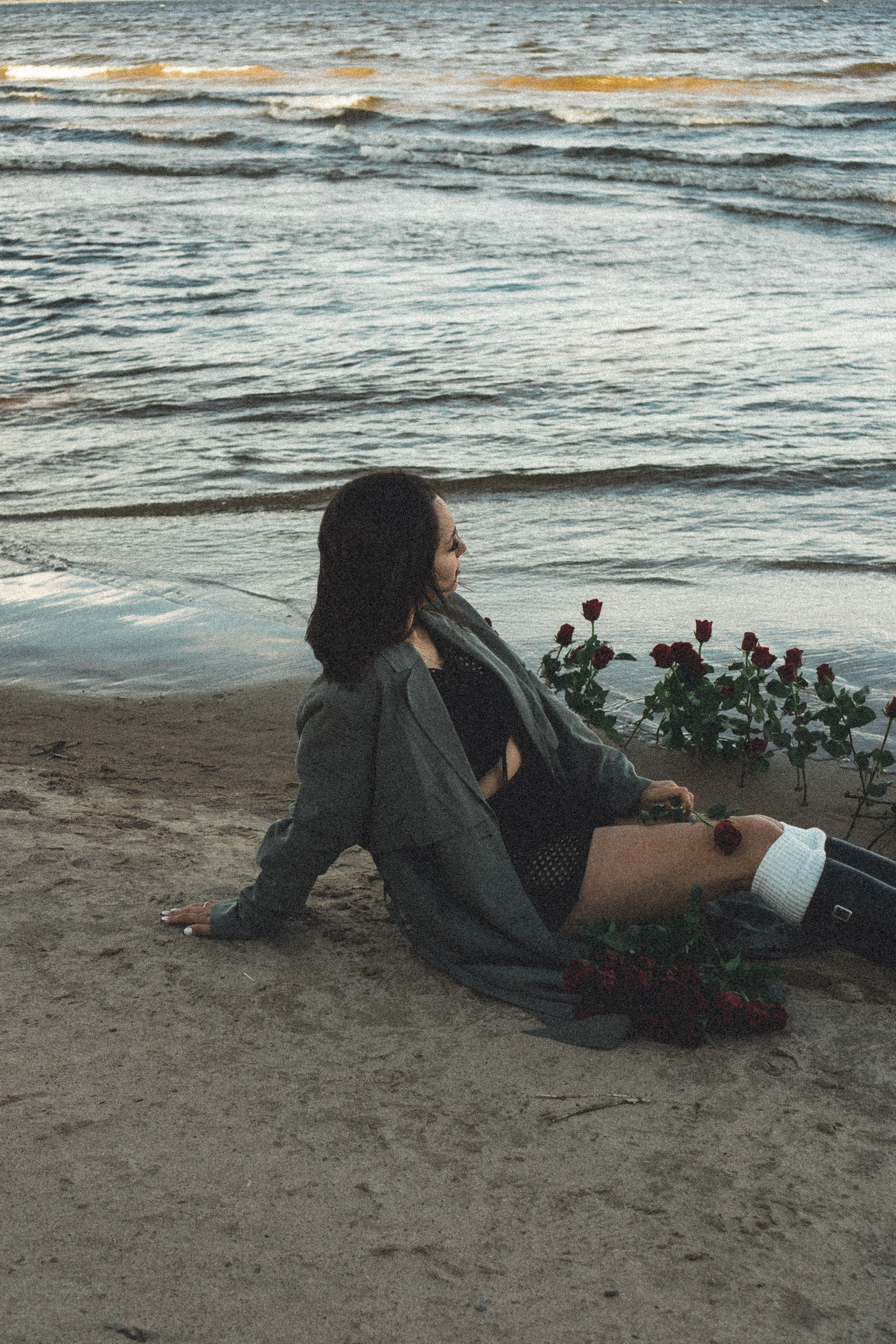 Розы. Профессиональный фотограф, Санкт-Петербург — Виктория Богомолова