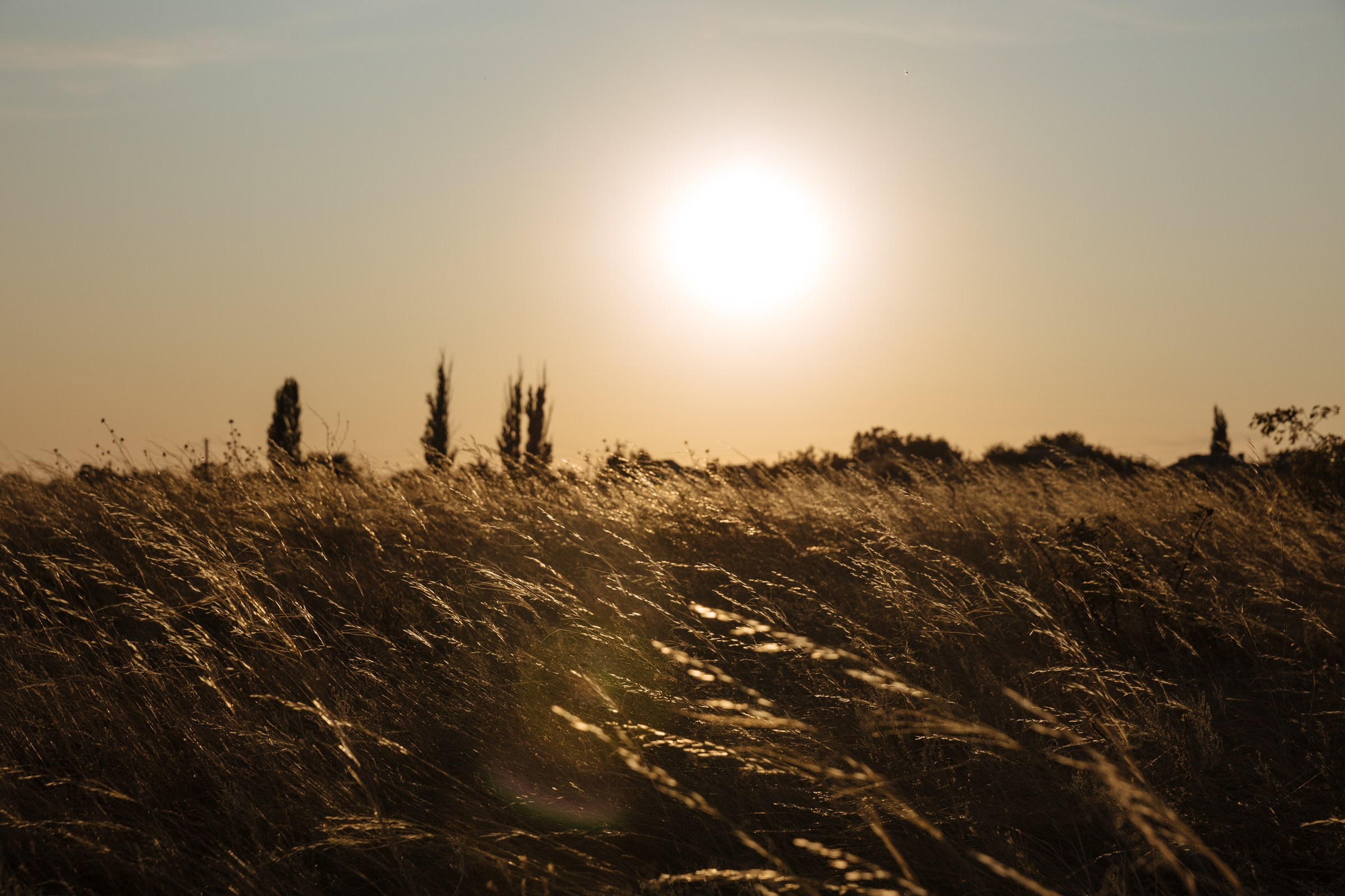 В ожидании. Профессиональный фотограф в Волгодонске и Ростове Владимир Казак