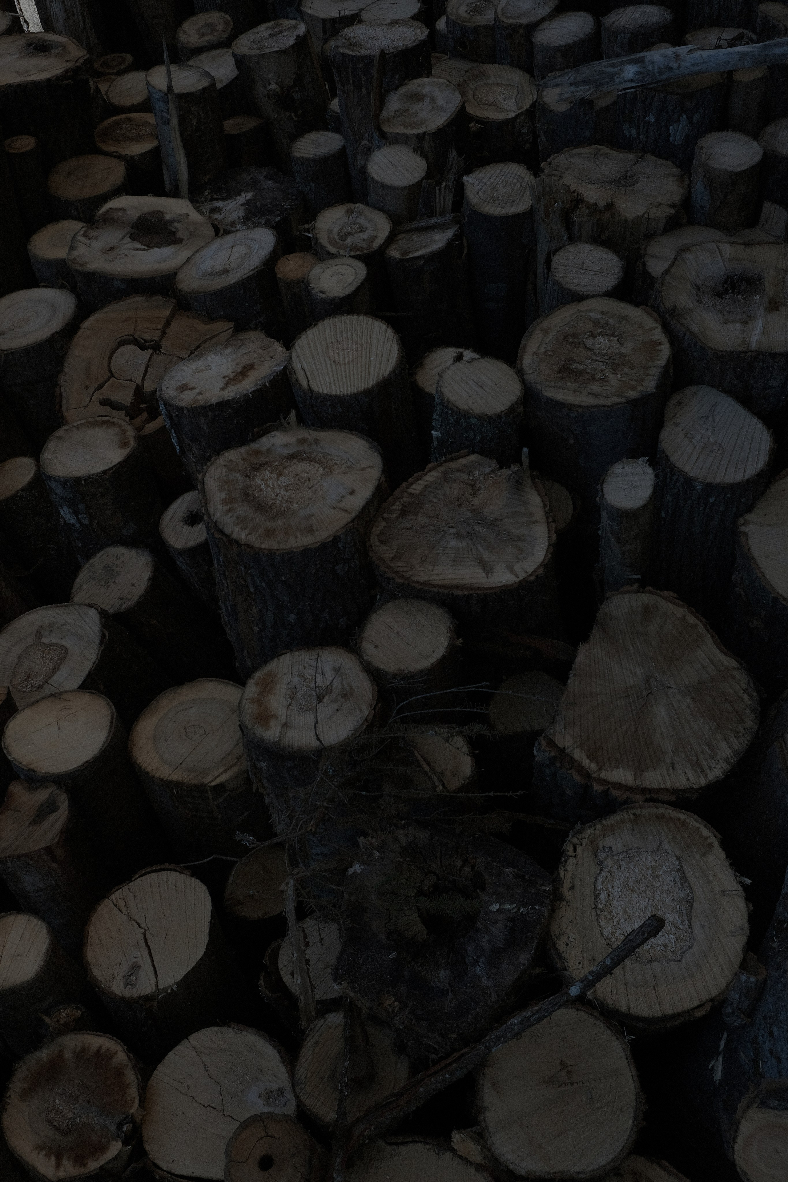 Nikola-Lenivec. Фотограф Настя Лев