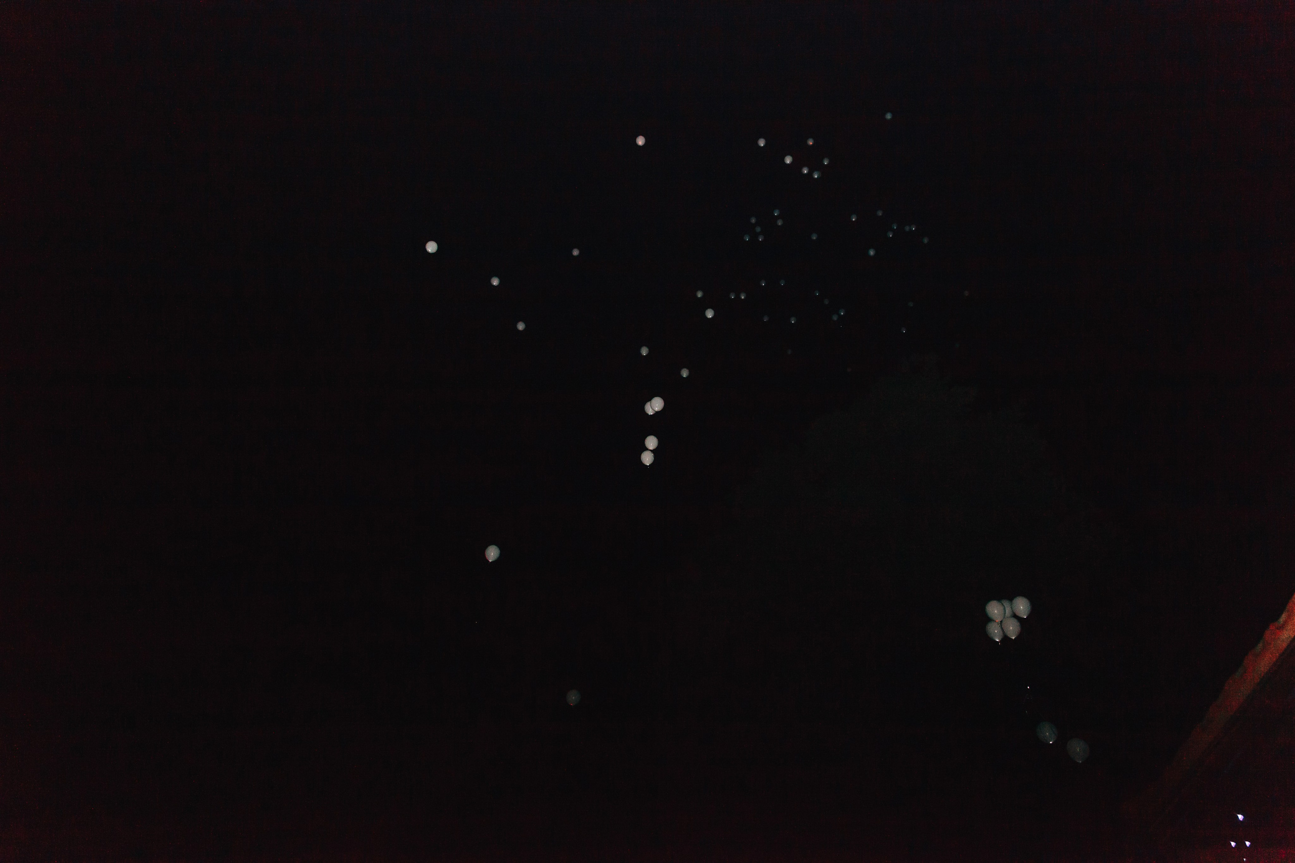 Денис и Марина. Свадебный фотограф Александр Абрамов Москва / Зеленоград