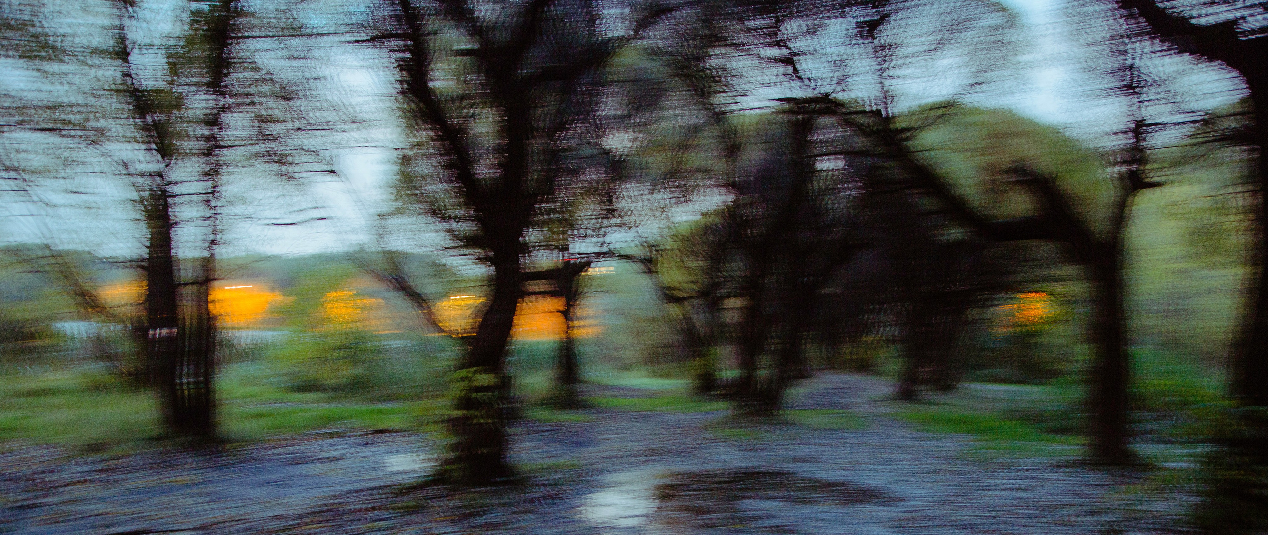 DIGITAL. Director of photography