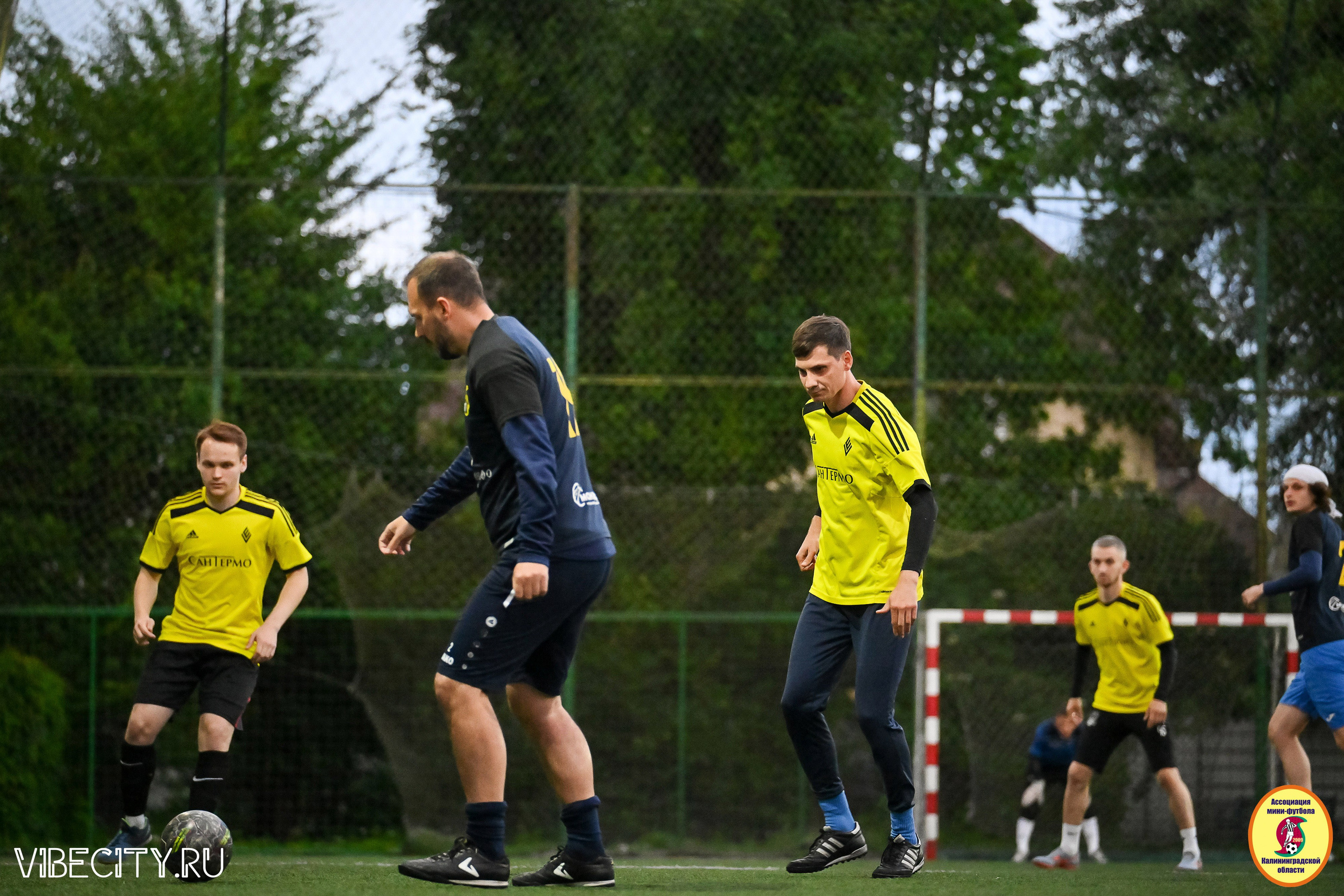 ИГРЫ МИНИ-ФУТБОЛЬНОЙ И КОРПОРАТИВНОЙ ЛИГИ. VIBECITY.RU Вайб Сити Ру Фоторепортажи Фотоотчеты Калининград
