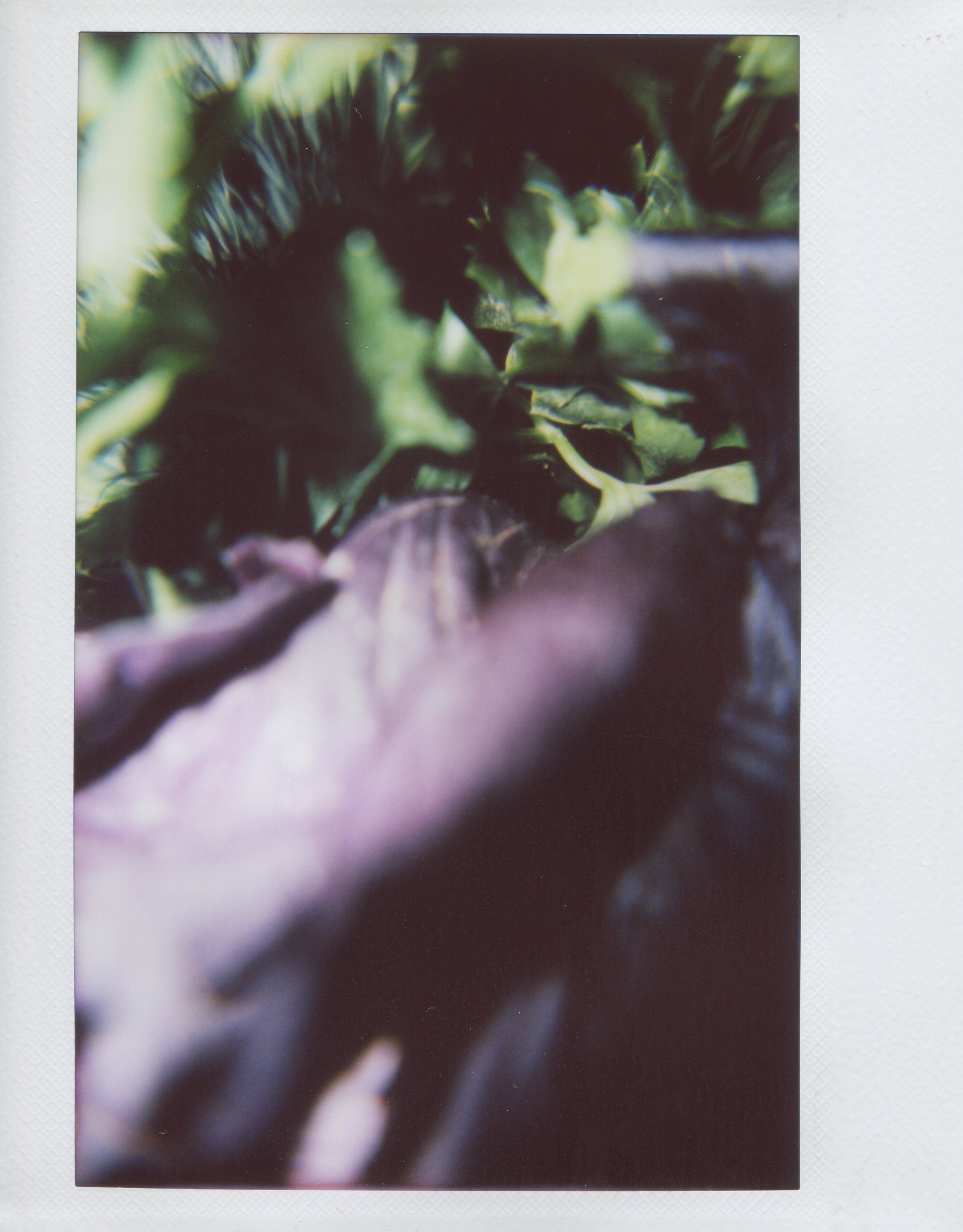 Инстакс. Миша Печёнкин | фотография