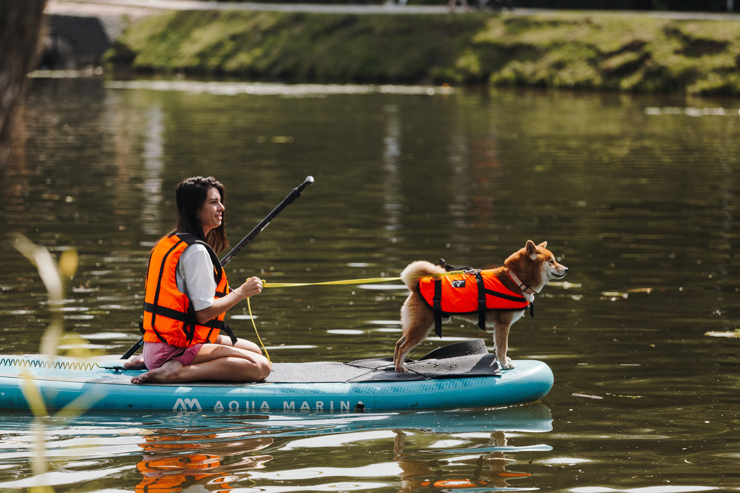 Petshop Sup day. Фотограф анималист Кристина Карпова, Москва