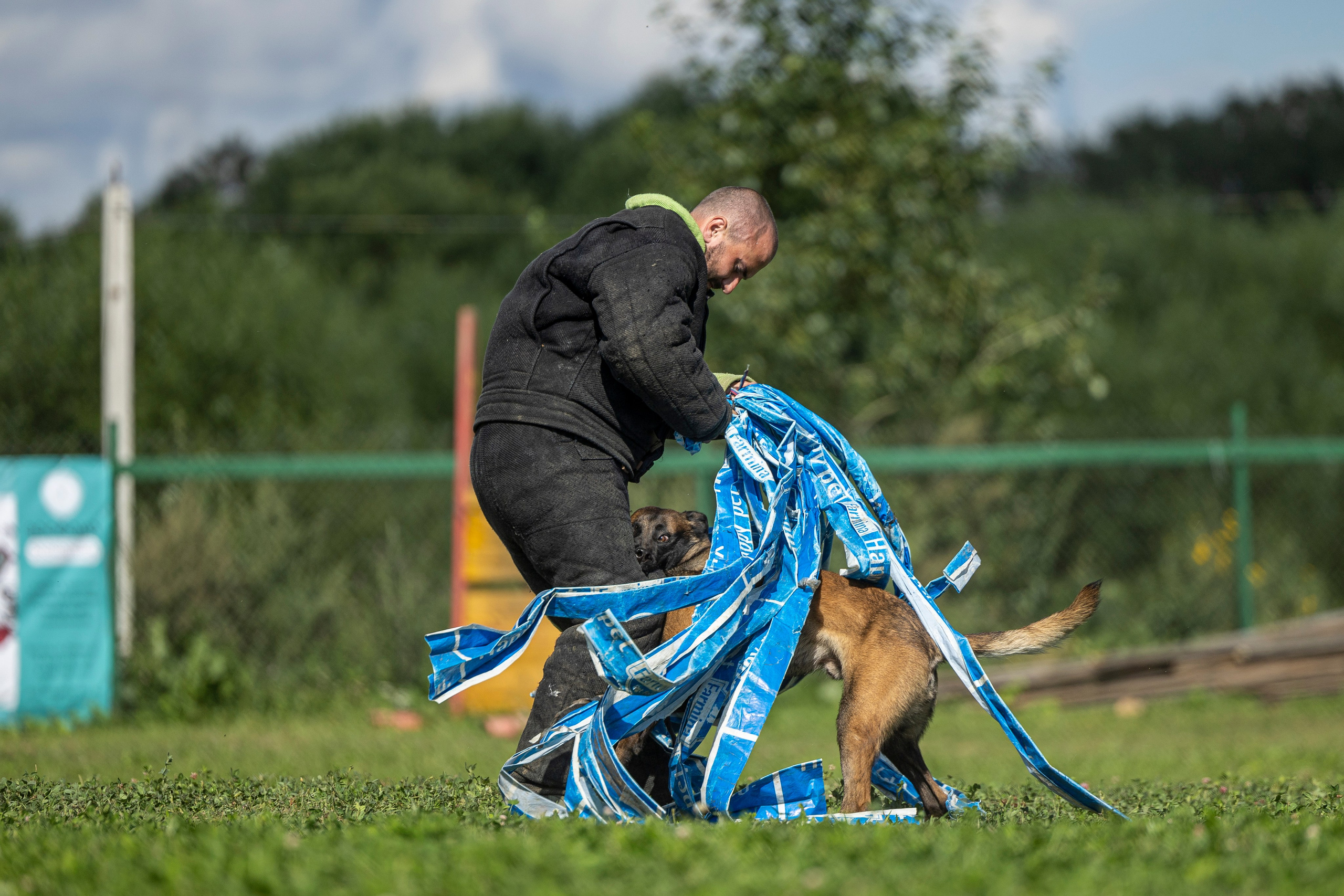 Соревнования по Мондьорингу г. Вологда 10-11.08.2024. Фотограф-анималист Анна Маринич