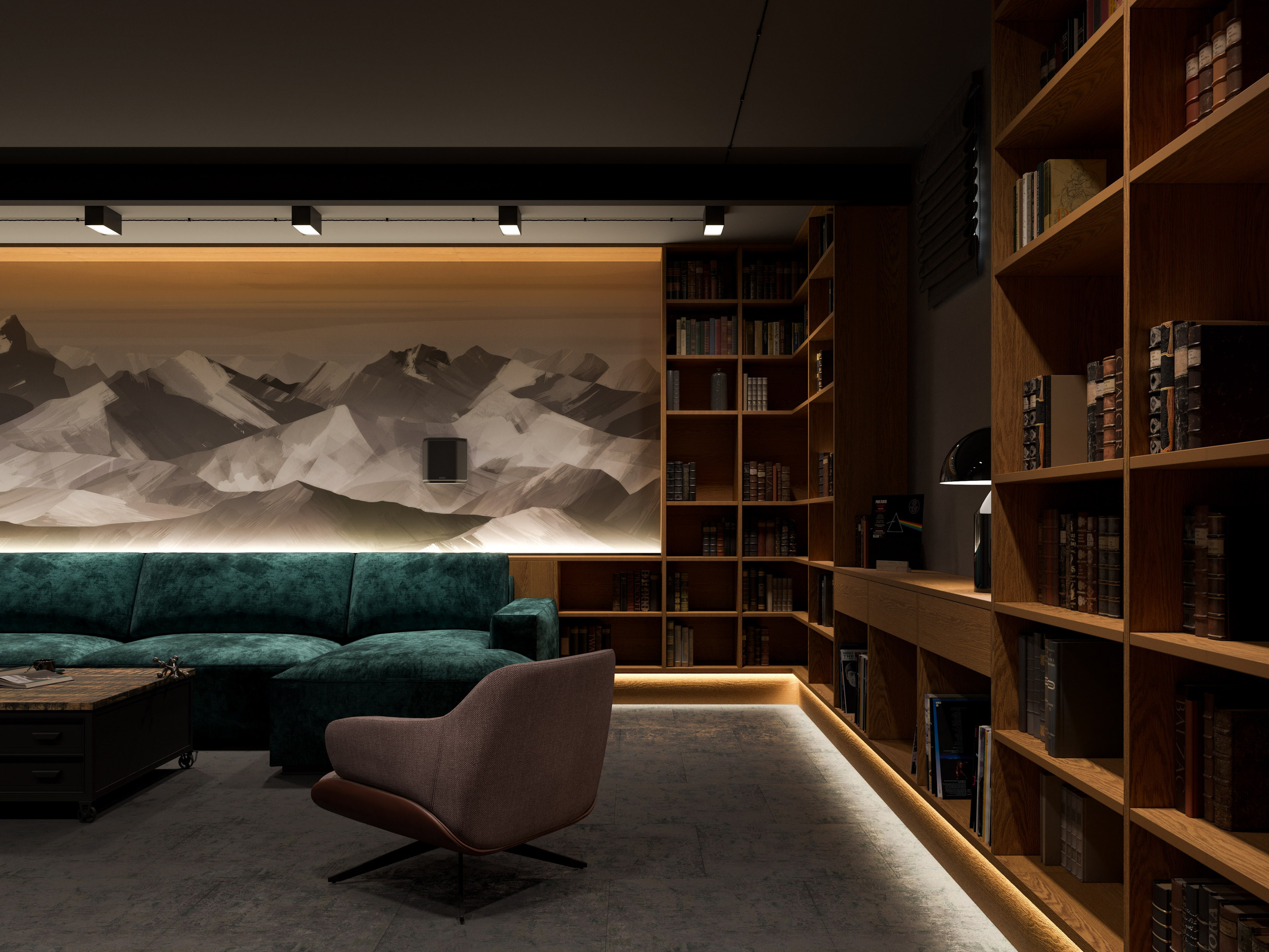 Комната отдыха с кинотеатром и библиотекой