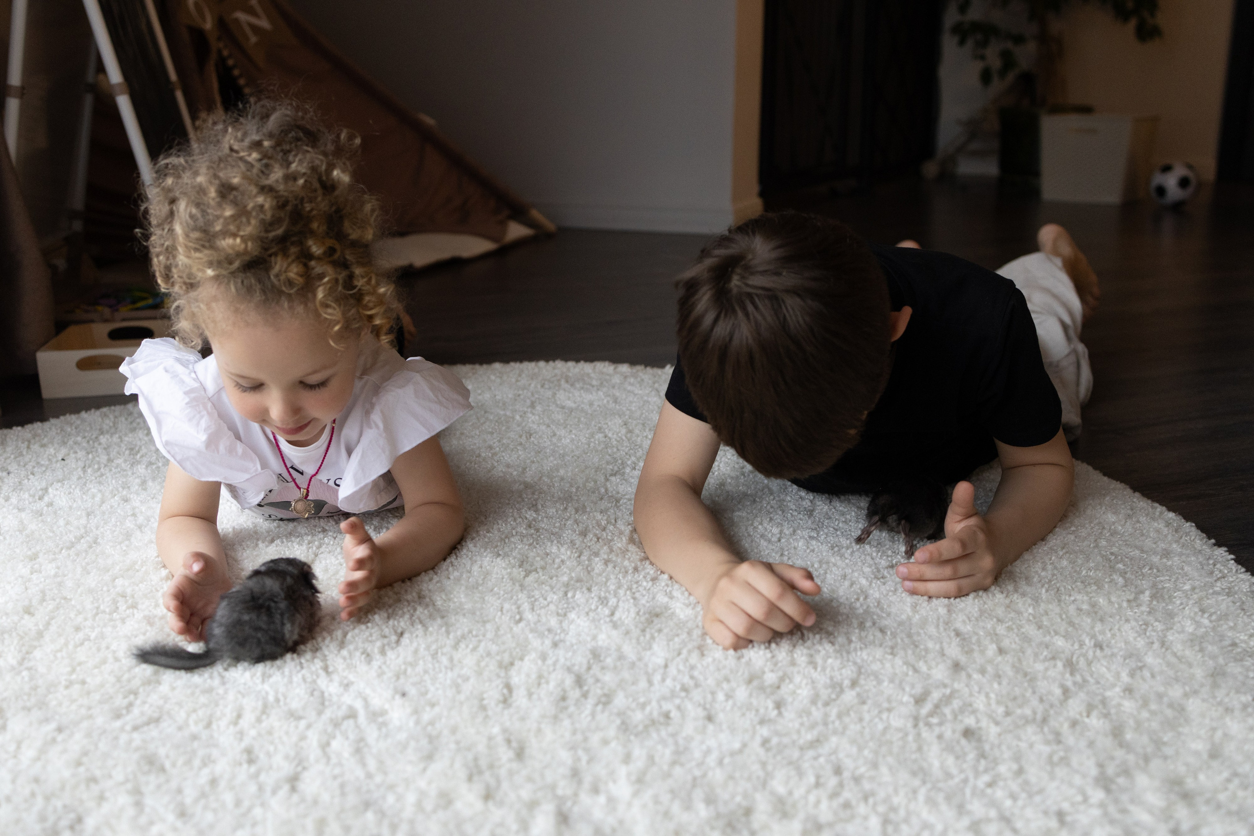 Lifstyle Фролкины. Семейный, женский и детский фотограф Татьяна Колобаева