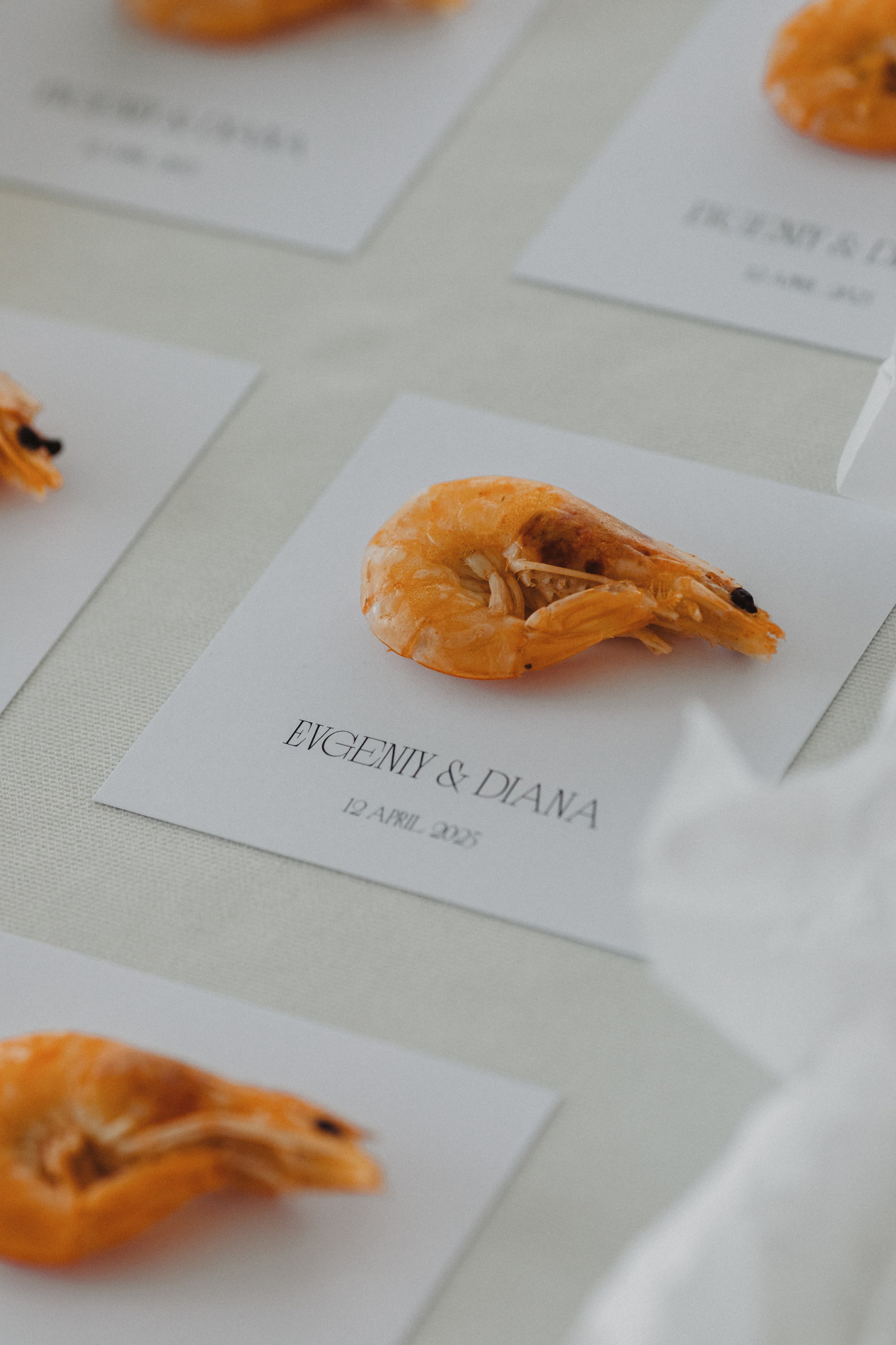 Творческая свадебная фотосессия в Гомеле