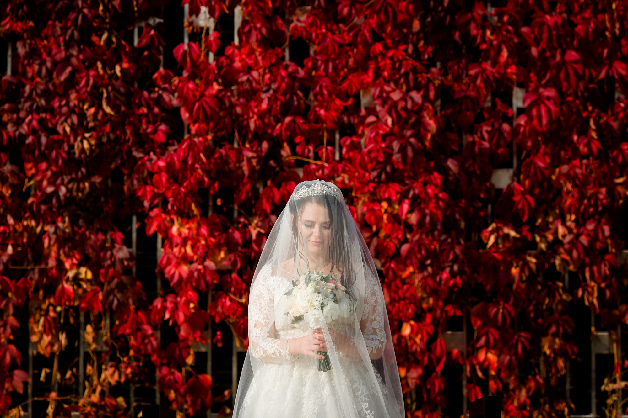 Свадебная фотосъёмка. Cherkasovpro.ru