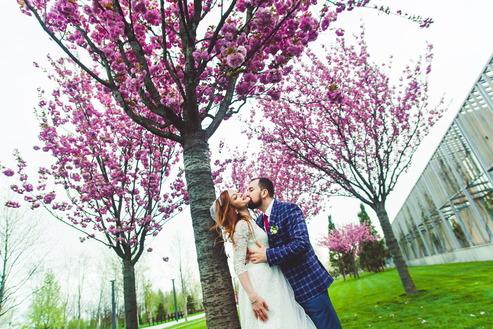 Свадебная фотосъёмка. Cherkasovpro.ru