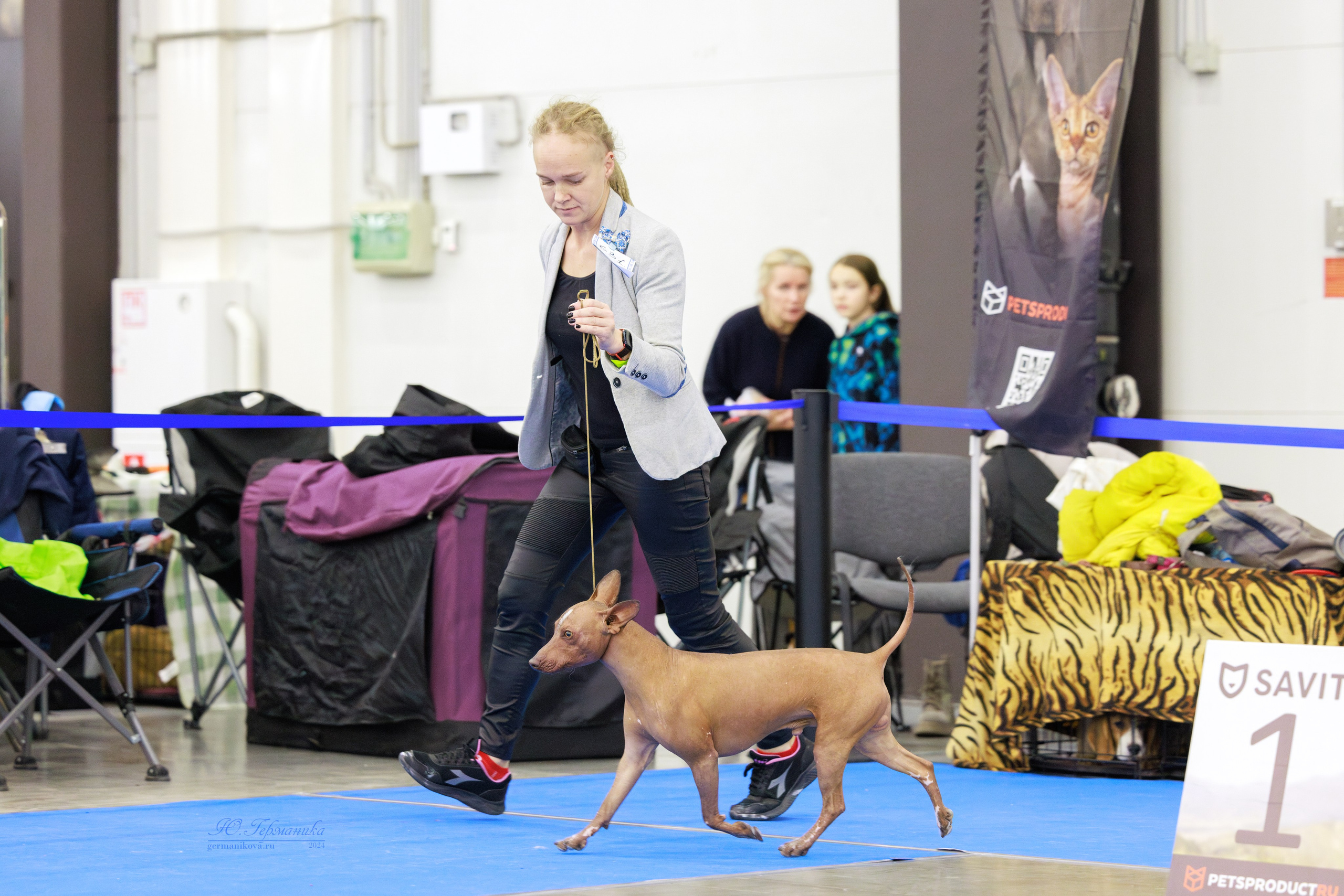 Санкт-Петербург 14.12.2024 ОС. Фотограф-анималист Юлия Германика