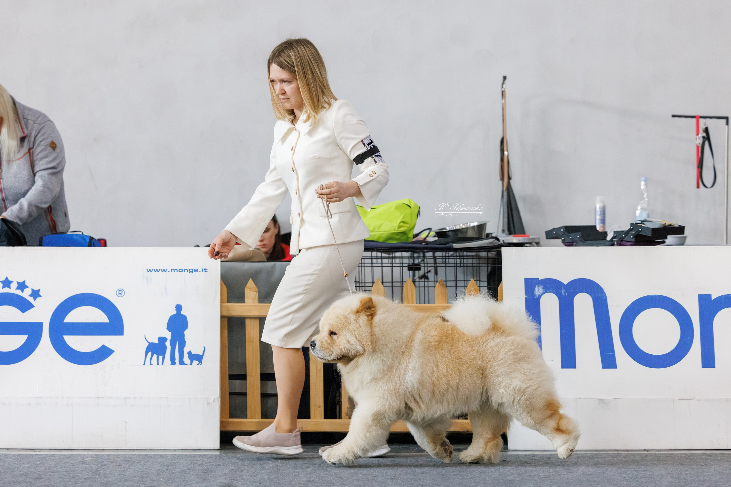 Ереван 2х CACIB 29-30.04.2025. Фотограф-анималист Юлия Германика