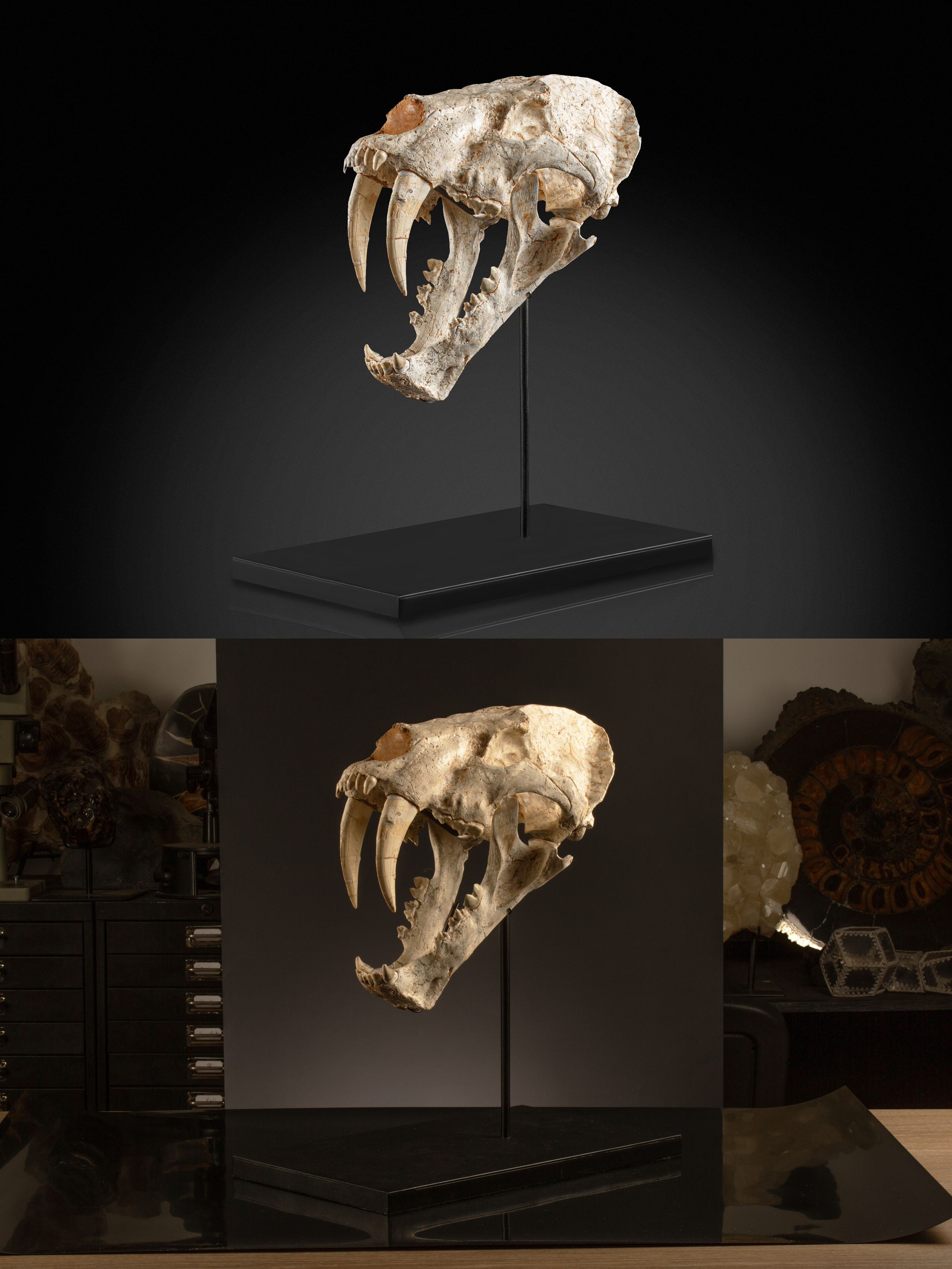 Предметы коллекционирования