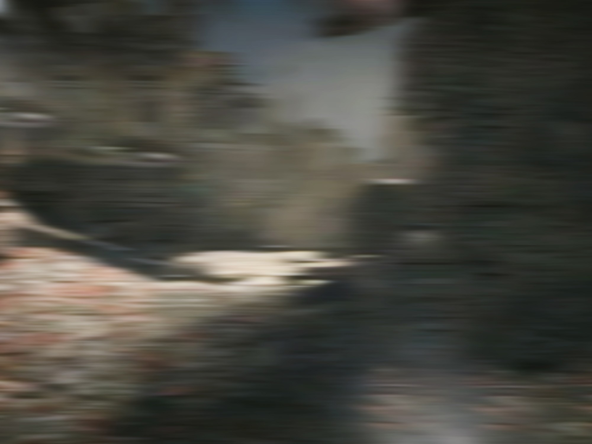 Deathscapes. Petr Antonov